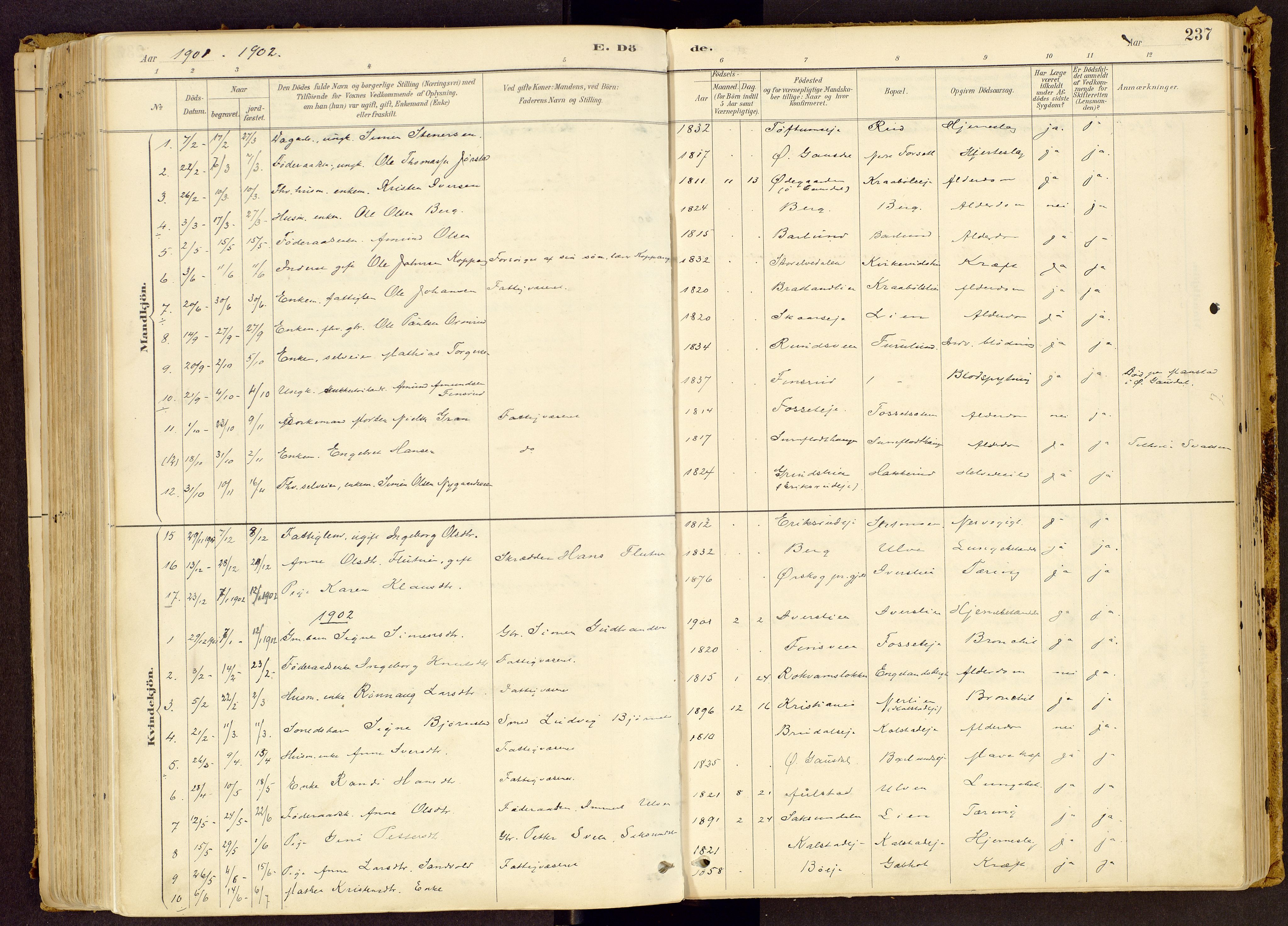 Vestre Gausdal prestekontor, SAH/PREST-094/H/Ha/Haa/L0001: Parish register (official) no. 1, 1887-1914, p. 237