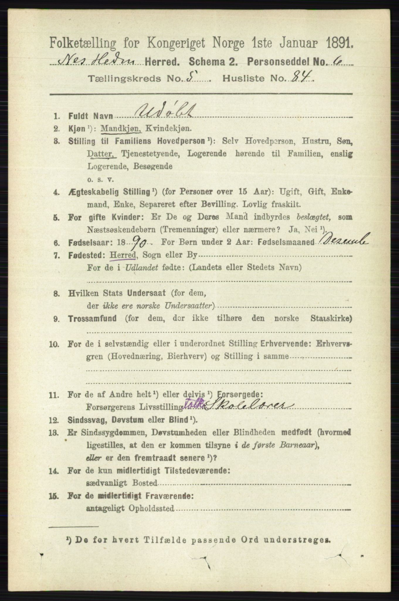 RA, 1891 census for 0411 Nes, 1891, p. 3155