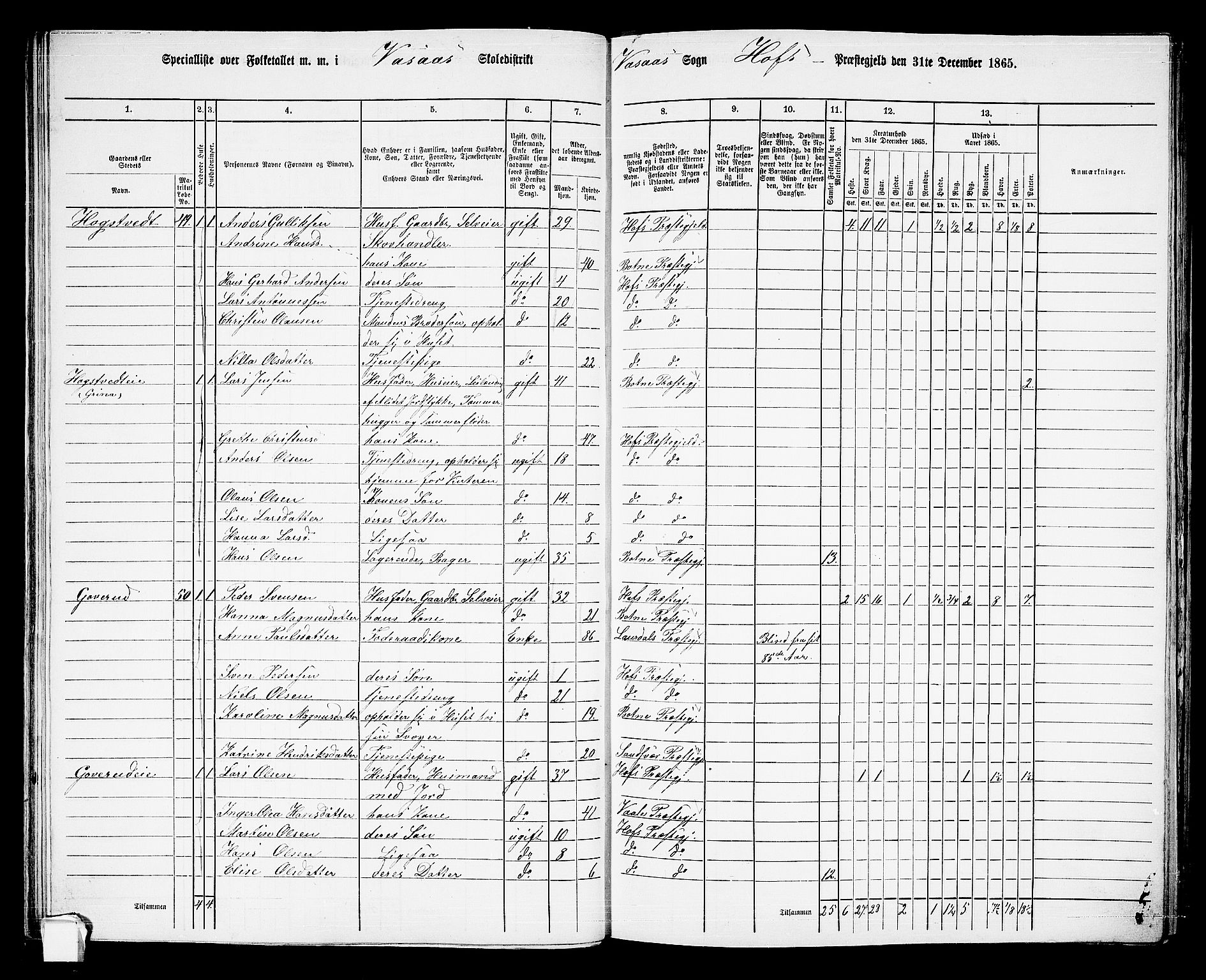 RA, 1865 census for Hof, 1865, p. 62