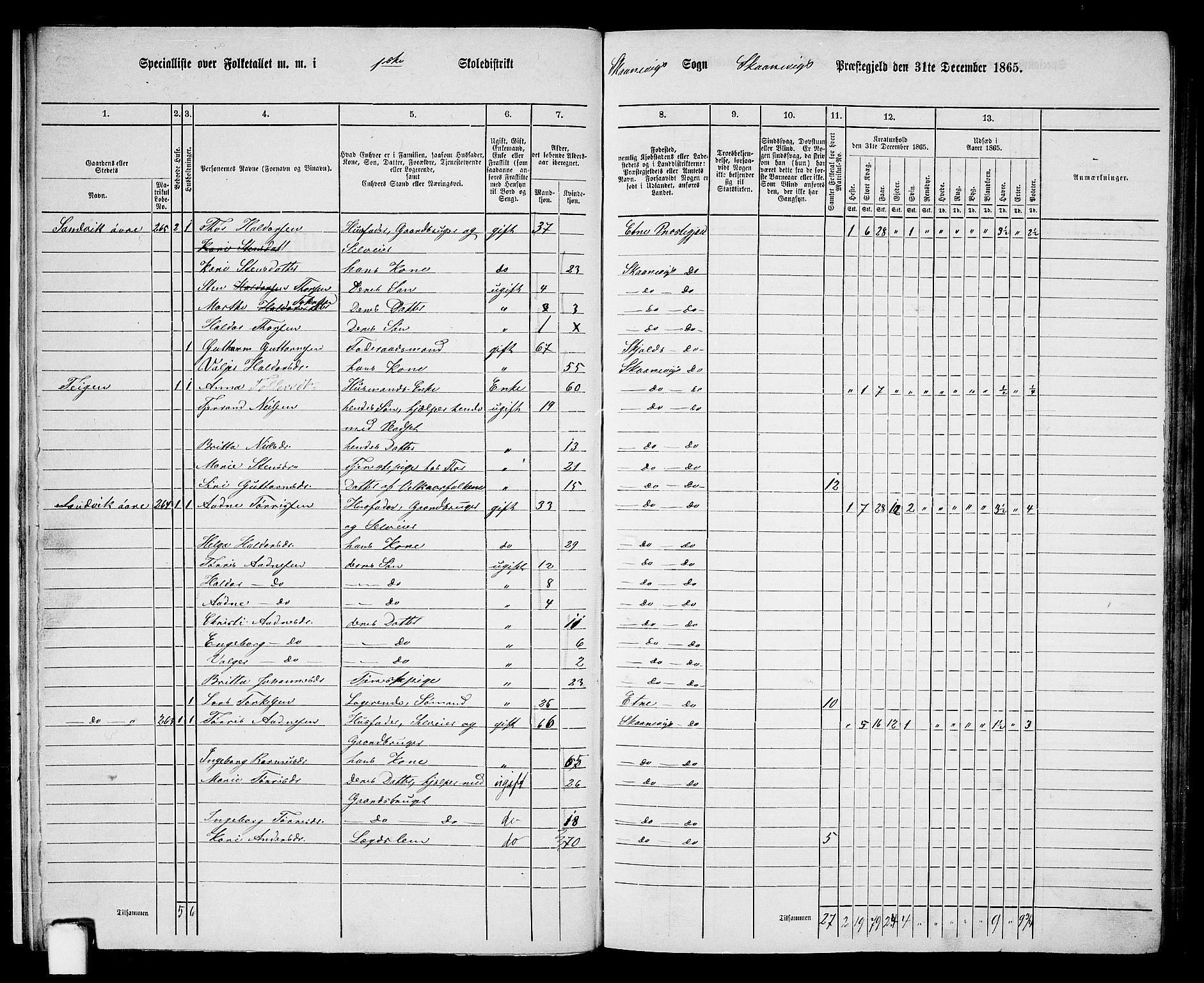 RA, 1865 census for Skånevik, 1865, p. 10