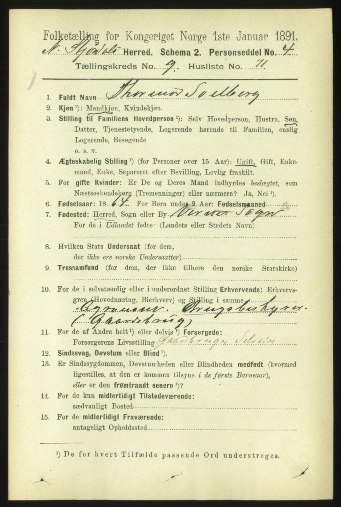 RA, 1891 census for 1714 Nedre Stjørdal, 1891, p. 5261