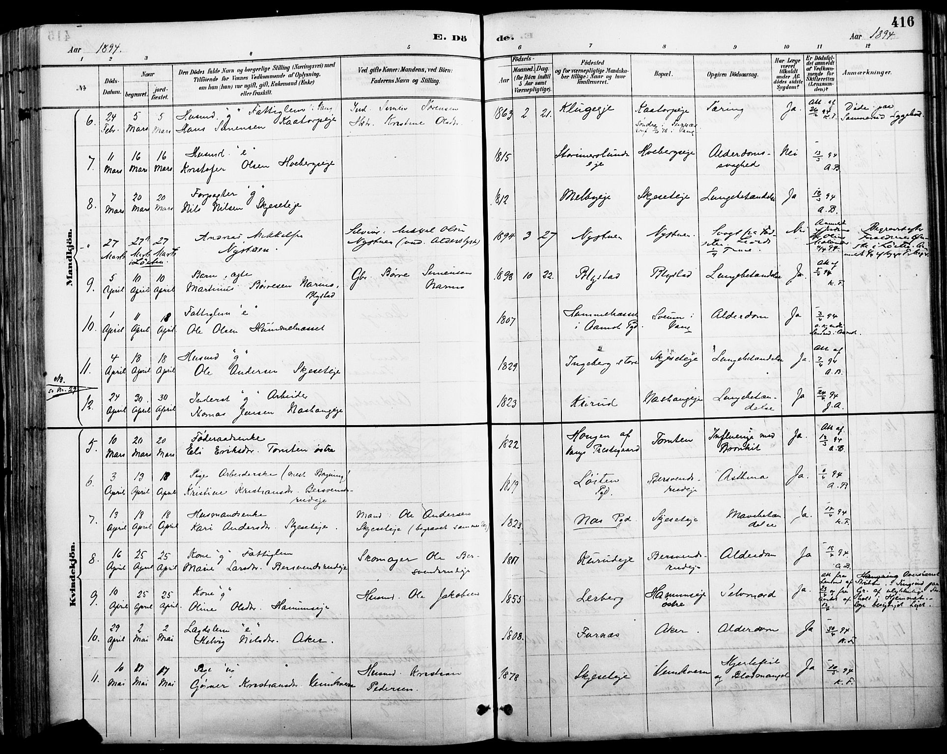 Vang prestekontor, Hedmark, AV/SAH-PREST-008/H/Ha/Haa/L0019A: Parish register (official) no. 19, 1886-1900, p. 416