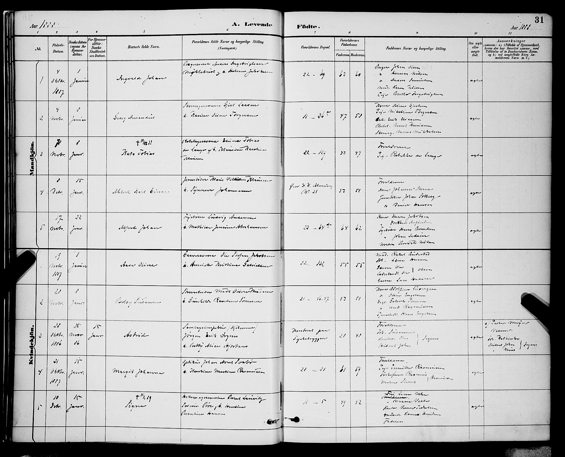 Korskirken sokneprestembete, SAB/A-76101/H/Hab: Parish register (copy) no. B 9, 1887-1896, p. 31