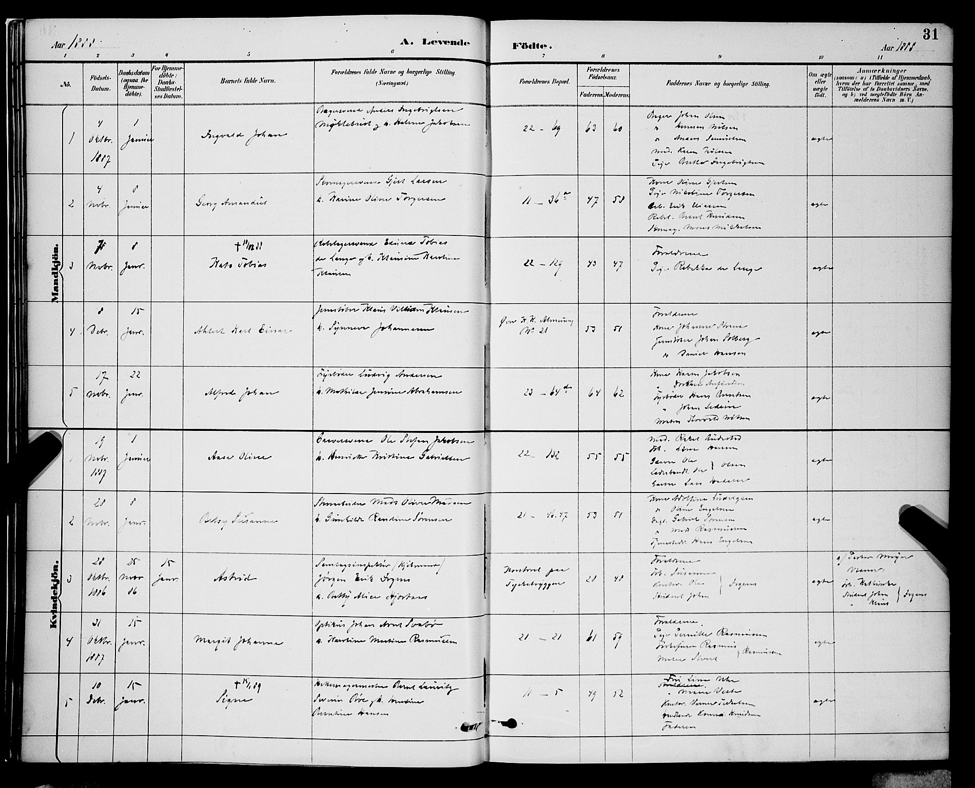 Korskirken sokneprestembete, AV/SAB-A-76101/H/Hab: Parish register (copy) no. B 9, 1887-1896, p. 31