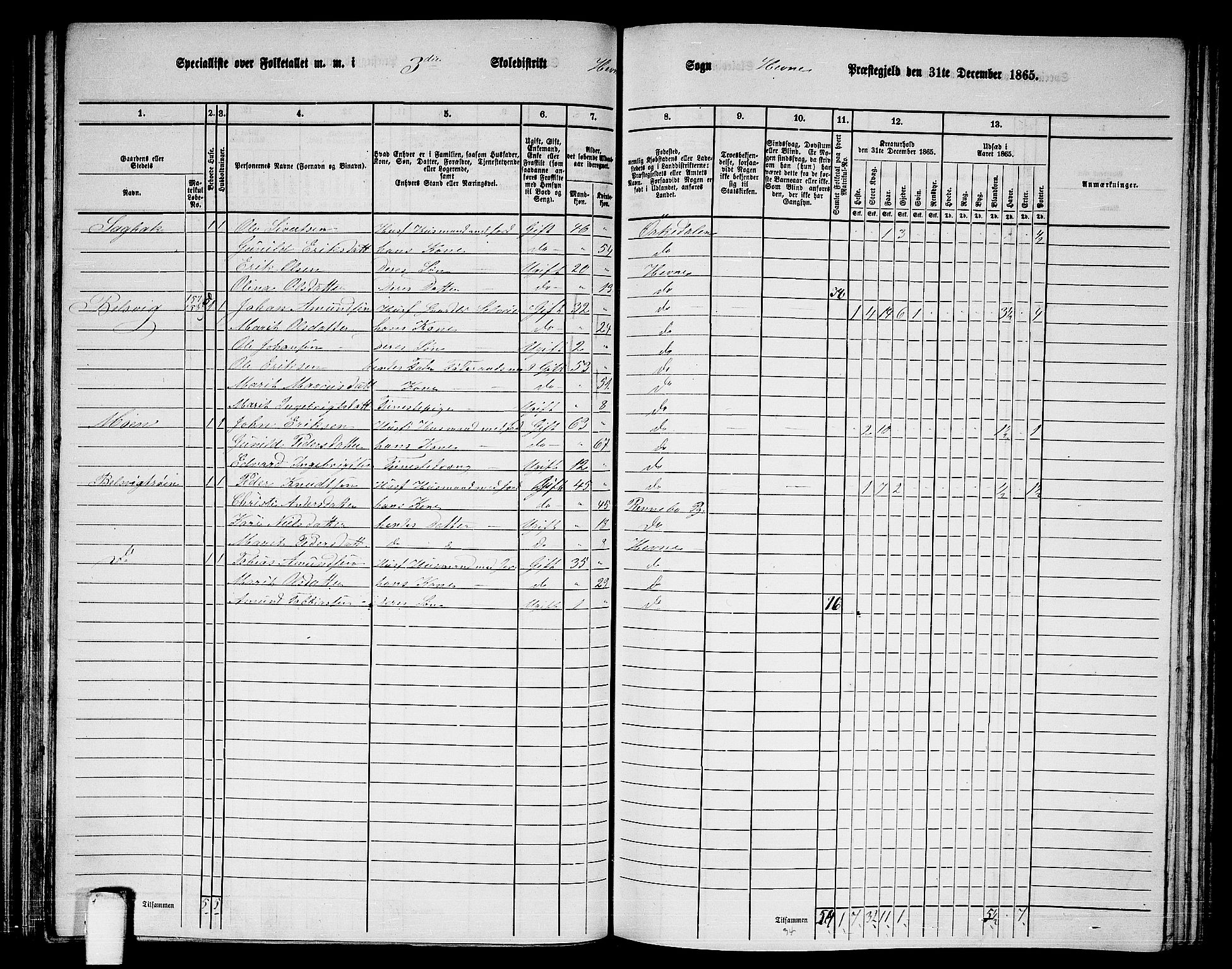 RA, 1865 census for Hemne, 1865, p. 80