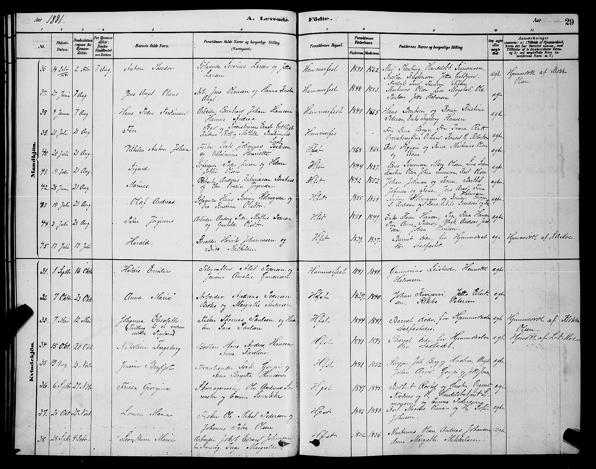 Hammerfest sokneprestkontor, AV/SATØ-S-1347/H/Hb/L0006.klokk: Parish register (copy) no. 6, 1876-1884, p. 29