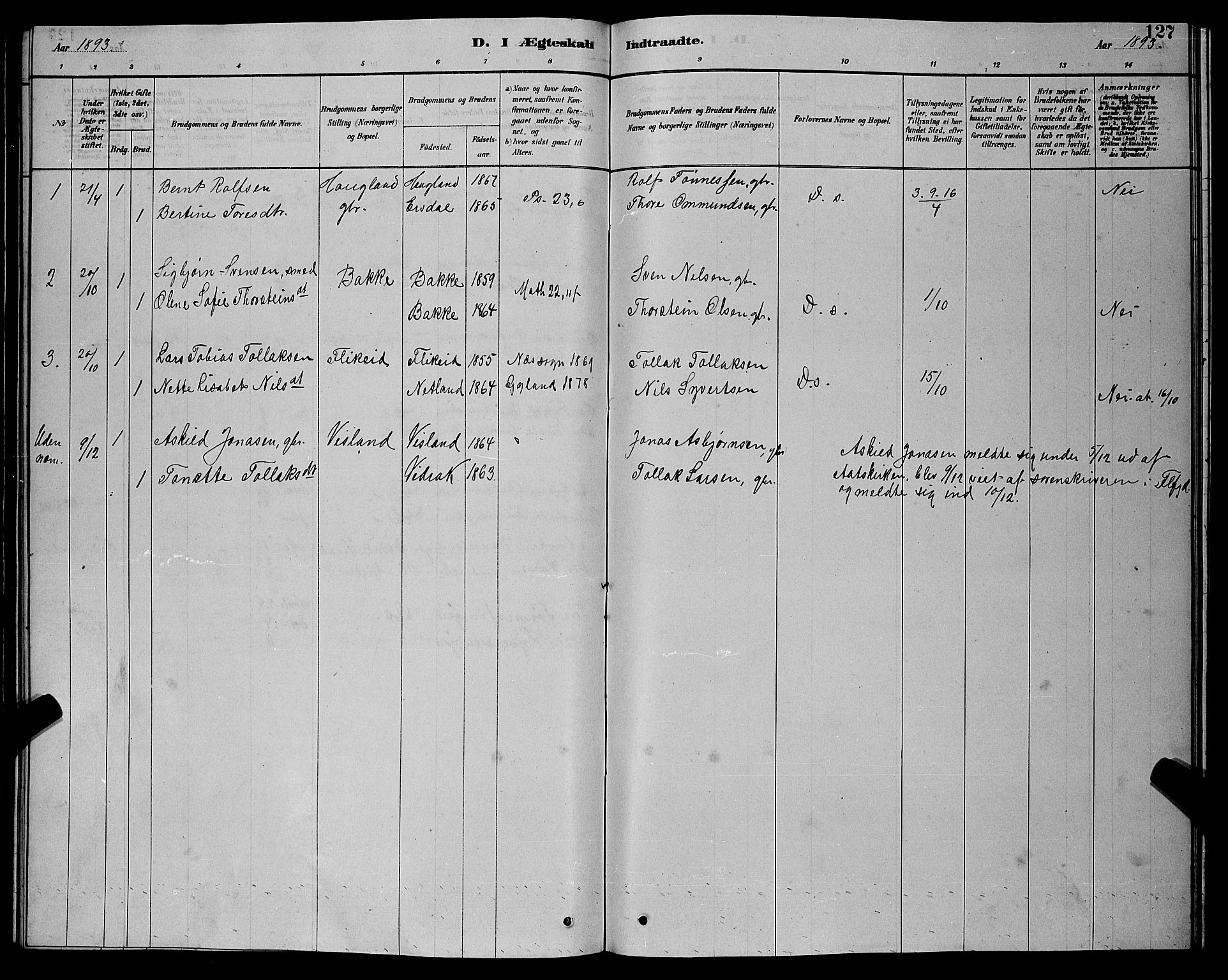 Bakke sokneprestkontor, SAK/1111-0002/F/Fb/Fba/L0002: Parish register (copy) no. B 2, 1879-1893, p. 127