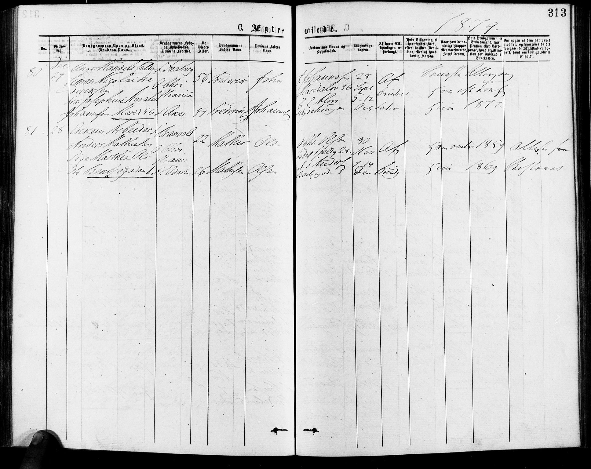 Gamle Aker prestekontor Kirkebøker, SAO/A-10617a/F/L0005: Parish register (official) no. 5, 1873-1881, p. 313