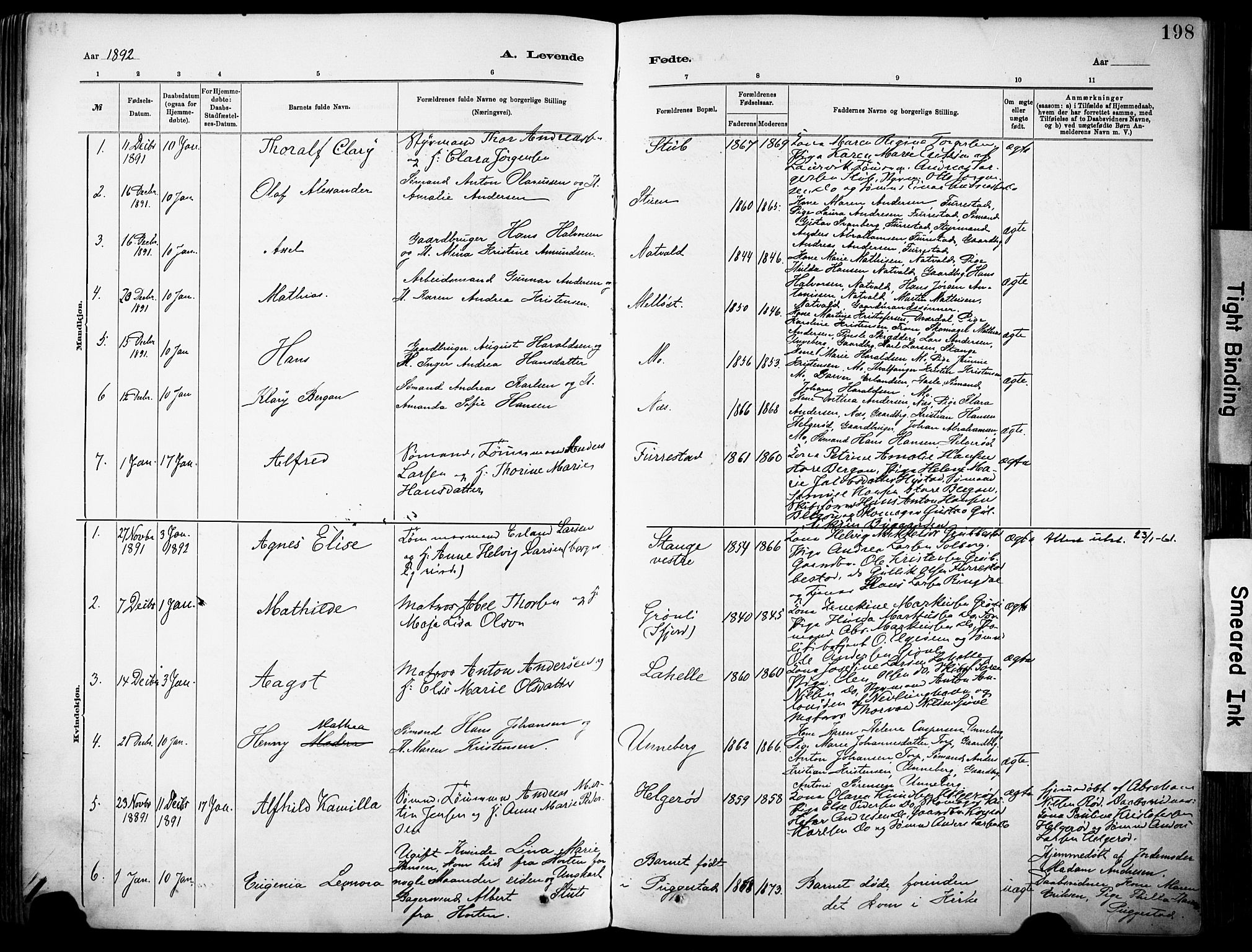 Sandar kirkebøker, SAKO/A-243/F/Fa/L0012: Parish register (official) no. 12, 1883-1895, p. 198