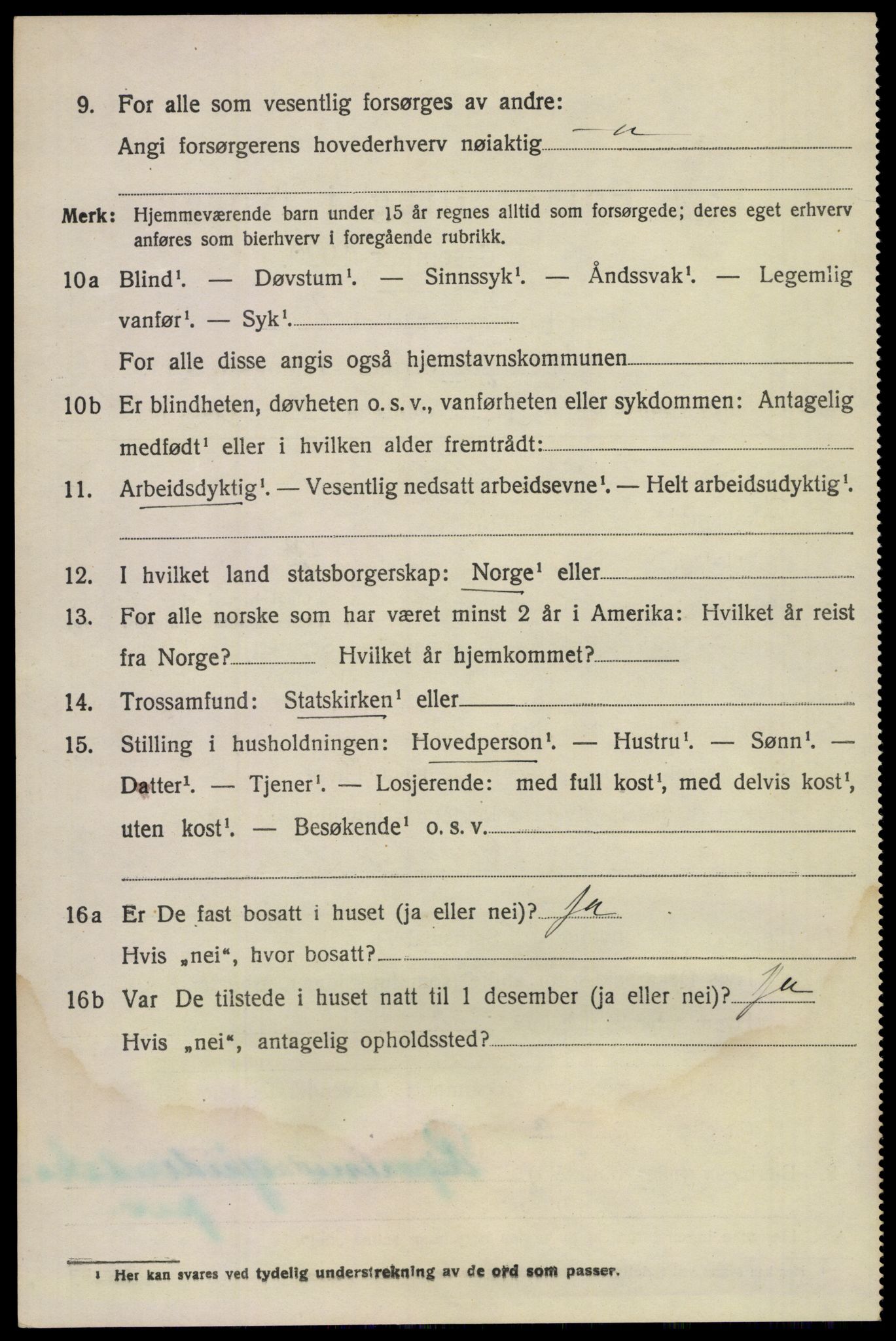 SAKO, 1920 census for Våle, 1920, p. 4149