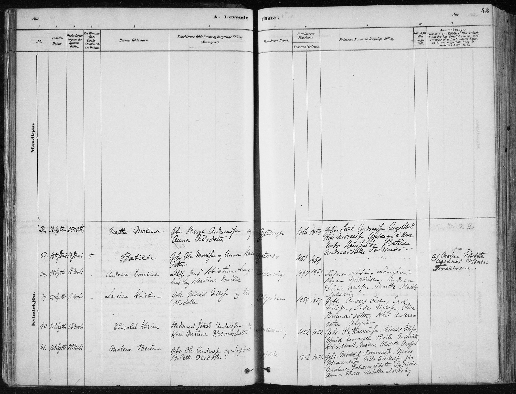 Fjell sokneprestembete, SAB/A-75301/H/Haa: Parish register (official) no. A  8, 1878-1898, p. 43