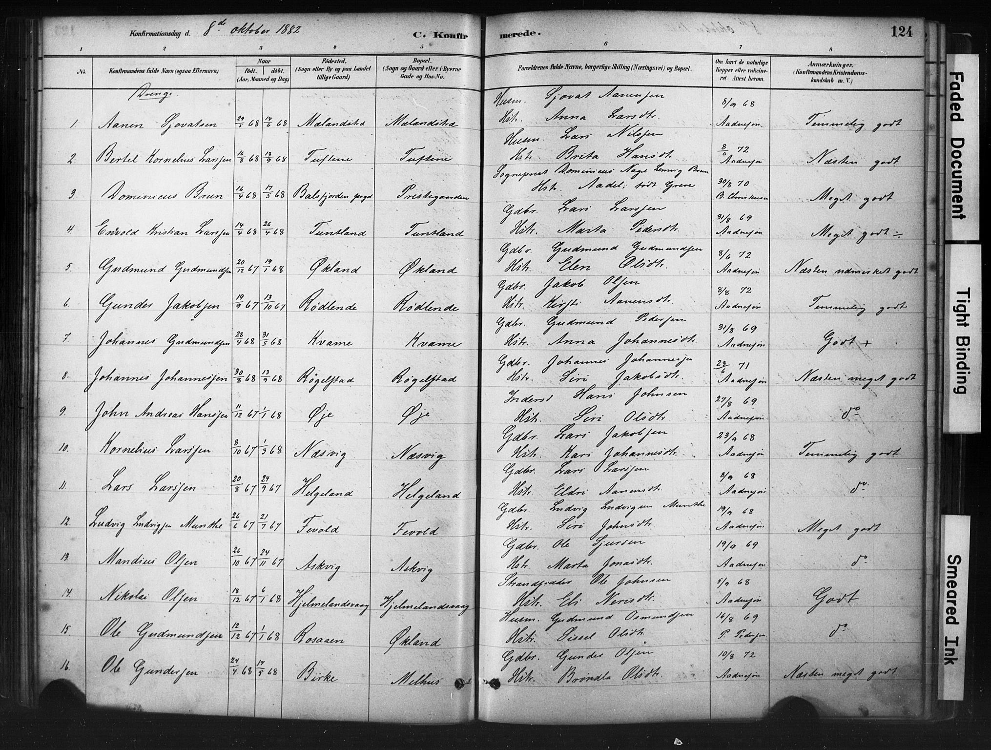 Hjelmeland sokneprestkontor, AV/SAST-A-101843/01/IV/L0014: Parish register (official) no. A 14, 1879-1900, p. 124