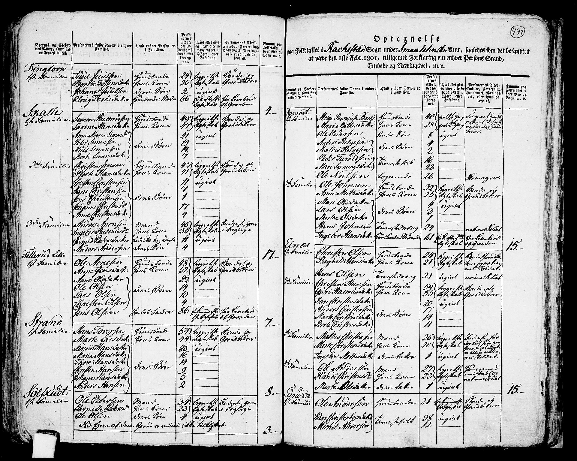 RA, 1801 census for 0128P Rakkestad, 1801, p. 490b-491a