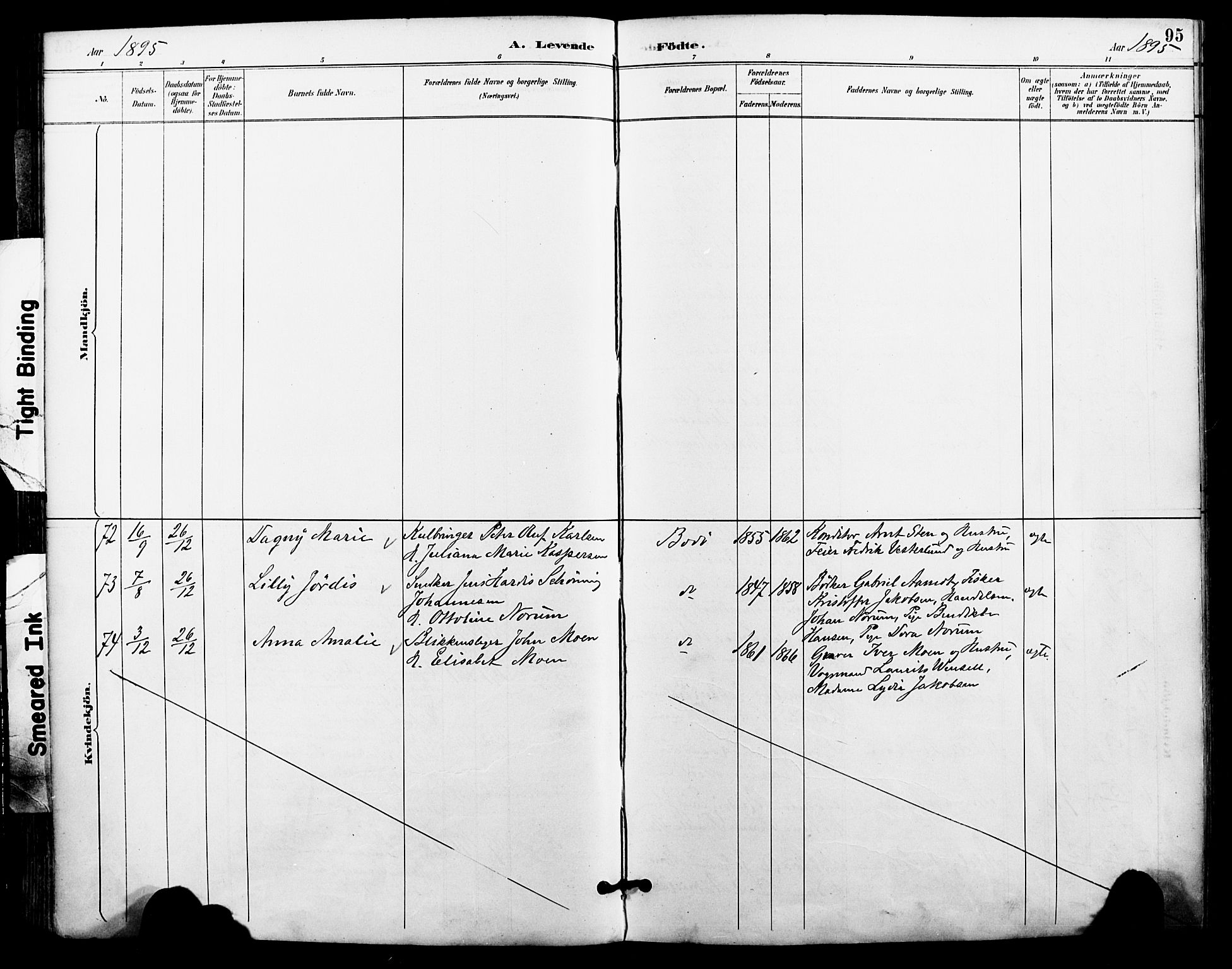 Ministerialprotokoller, klokkerbøker og fødselsregistre - Nordland, AV/SAT-A-1459/801/L0010: Parish register (official) no. 801A10, 1888-1899, p. 95