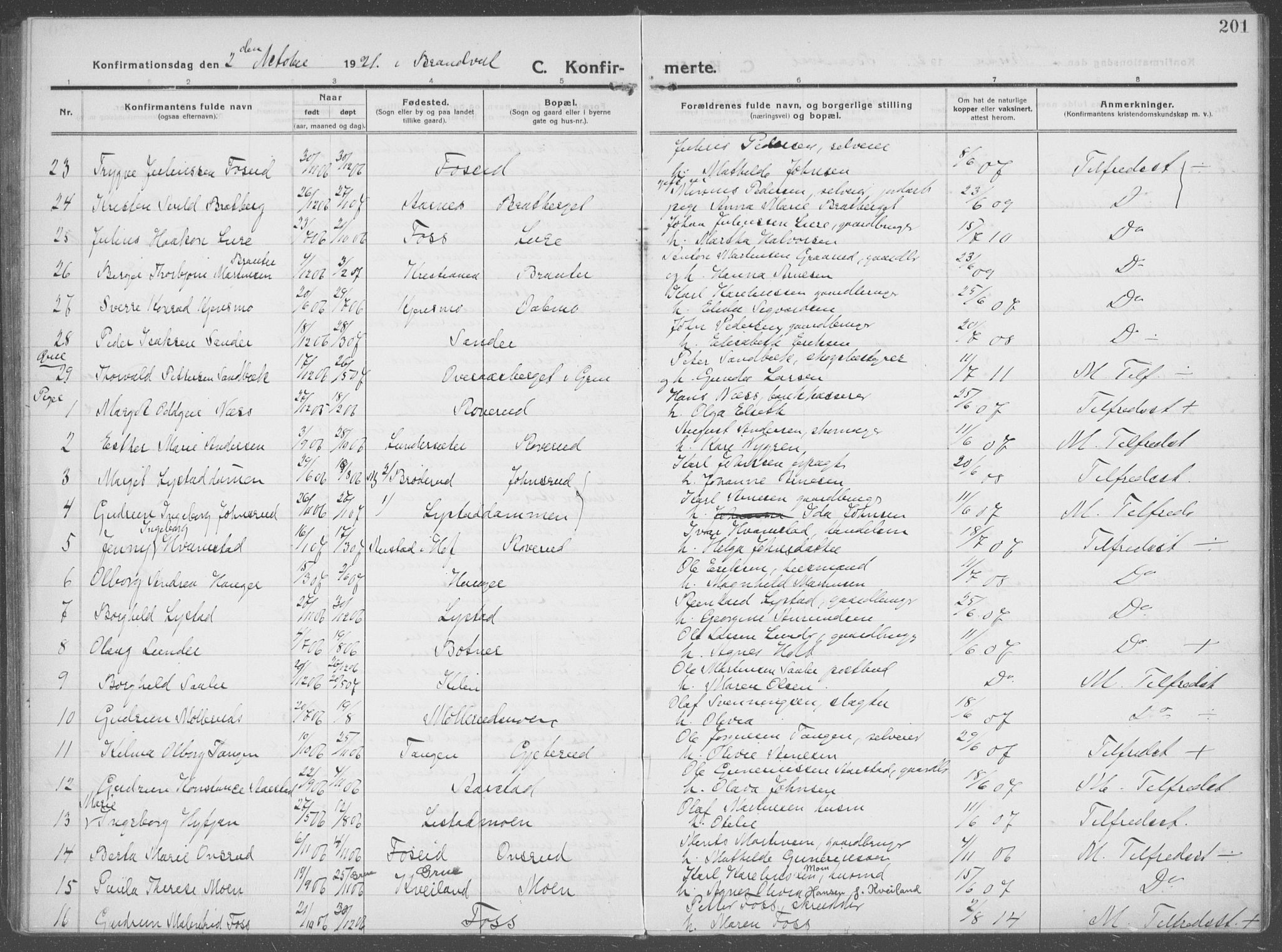 Brandval prestekontor, AV/SAH-PREST-034/H/Ha/Haa/L0004: Parish register (official) no. 4, 1910-1924, p. 201