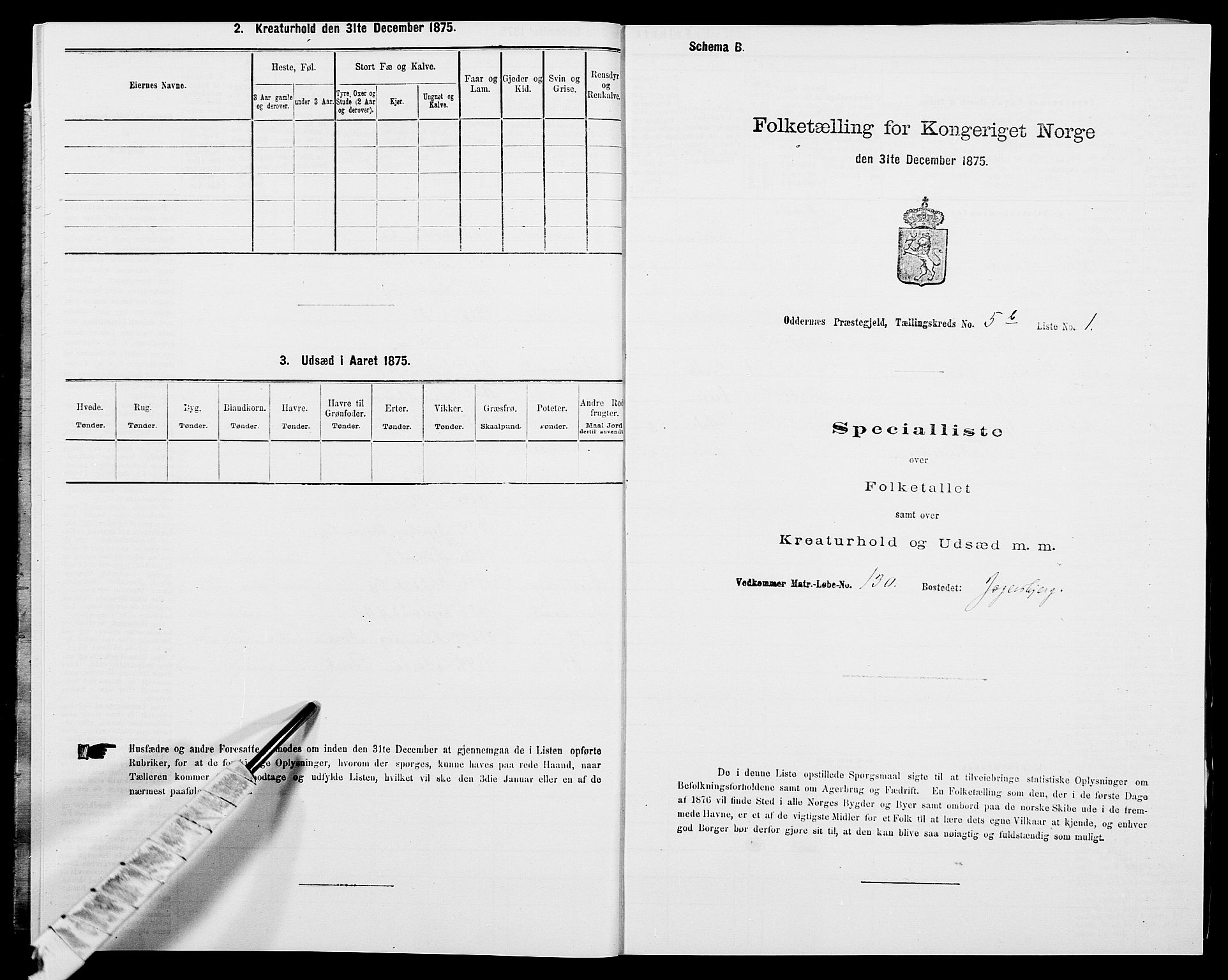 SAK, 1875 census for 1012P Oddernes, 1875, p. 843