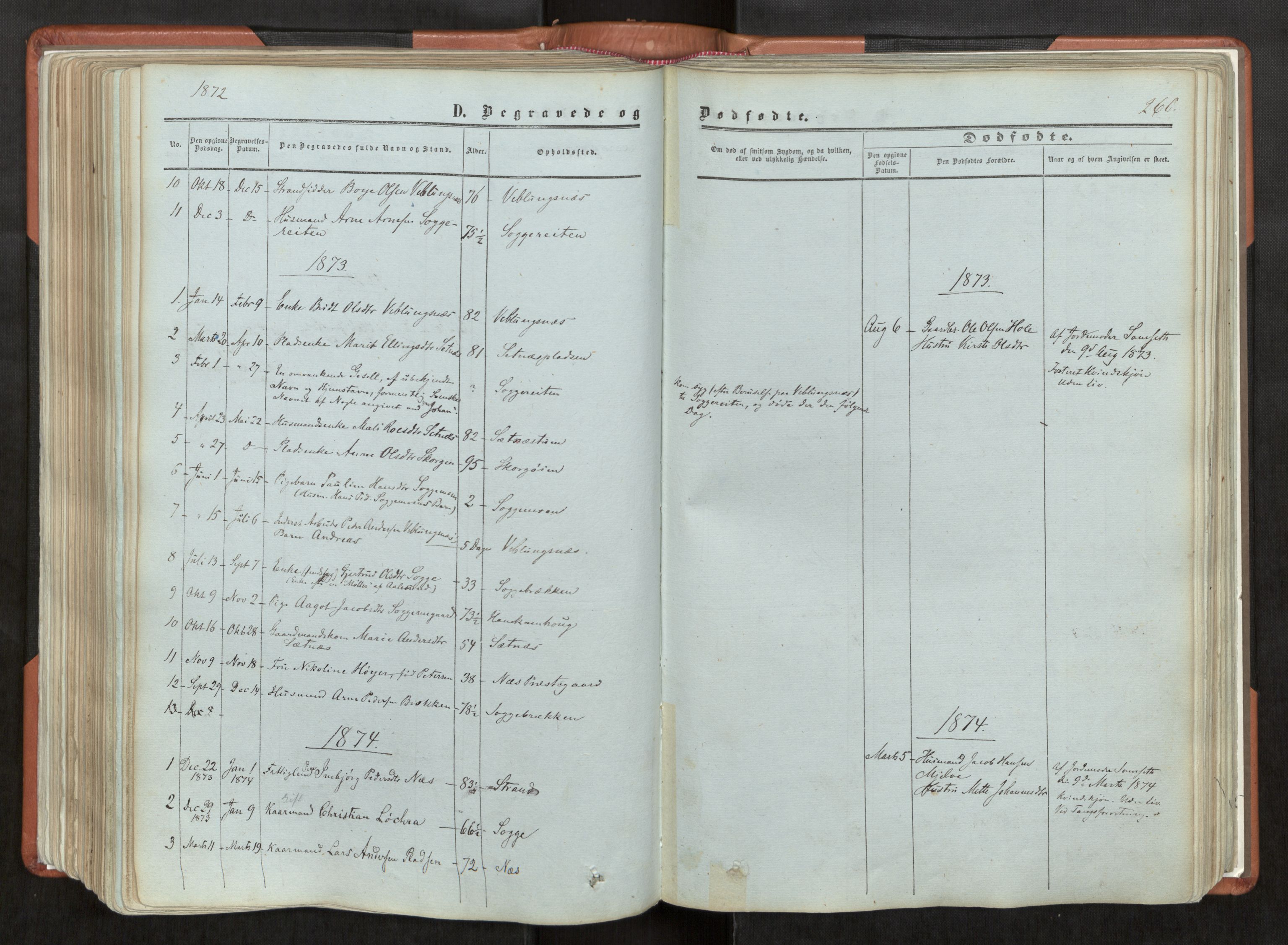 Ministerialprotokoller, klokkerbøker og fødselsregistre - Møre og Romsdal, SAT/A-1454/544/L0572: Parish register (official) no. 544A05, 1854-1886, p. 260