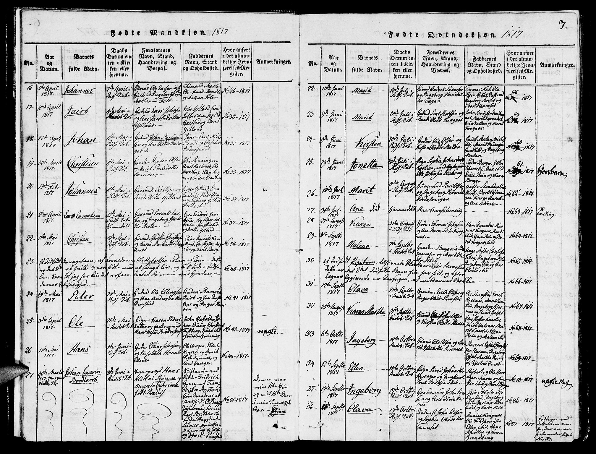 Ministerialprotokoller, klokkerbøker og fødselsregistre - Sør-Trøndelag, SAT/A-1456/646/L0608: Parish register (official) no. 646A06, 1816-1825, p. 7