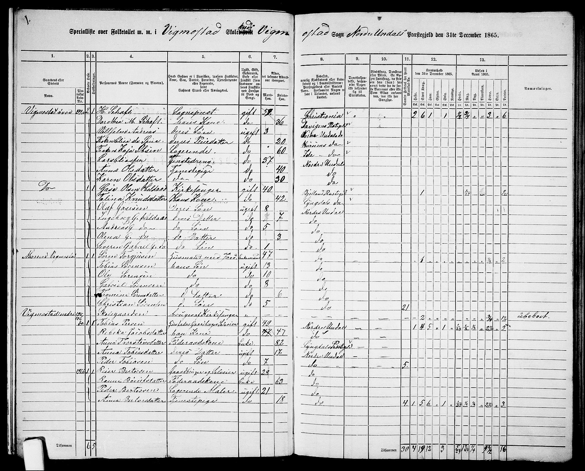 RA, 1865 census for Nord-Audnedal, 1865, p. 12