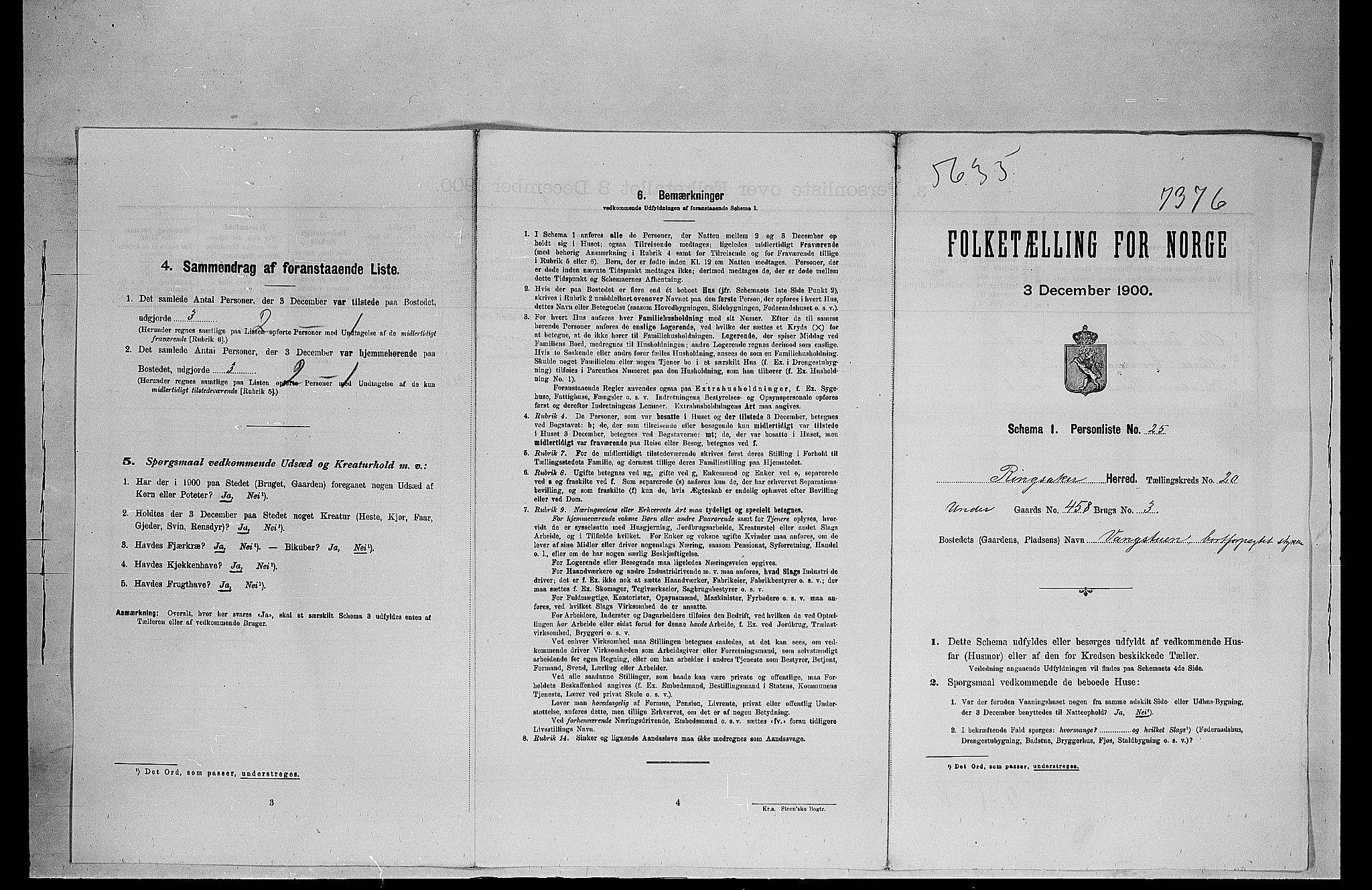 SAH, 1900 census for Ringsaker, 1900, p. 294