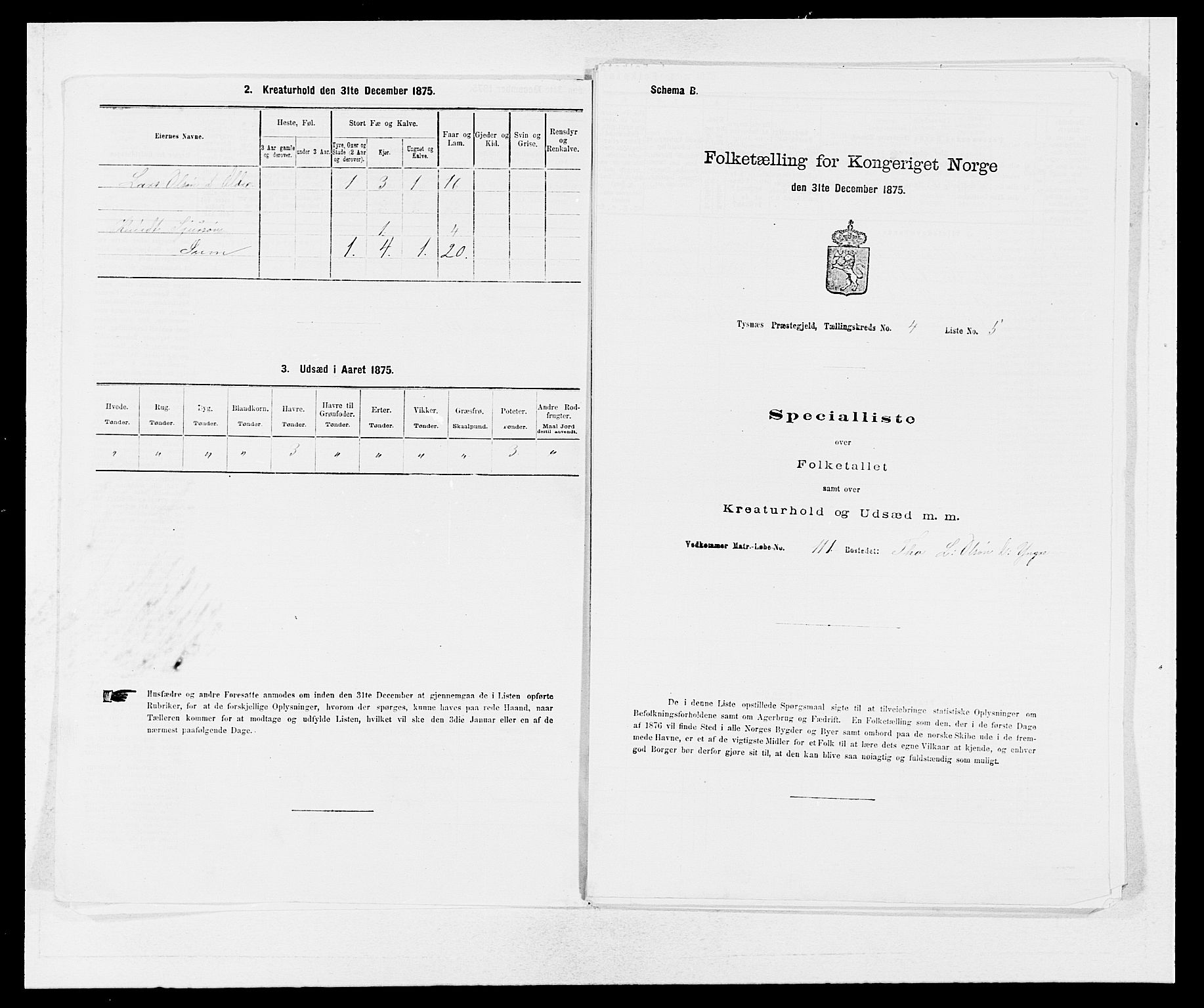 SAB, 1875 census for 1223P Tysnes, 1875, p. 438