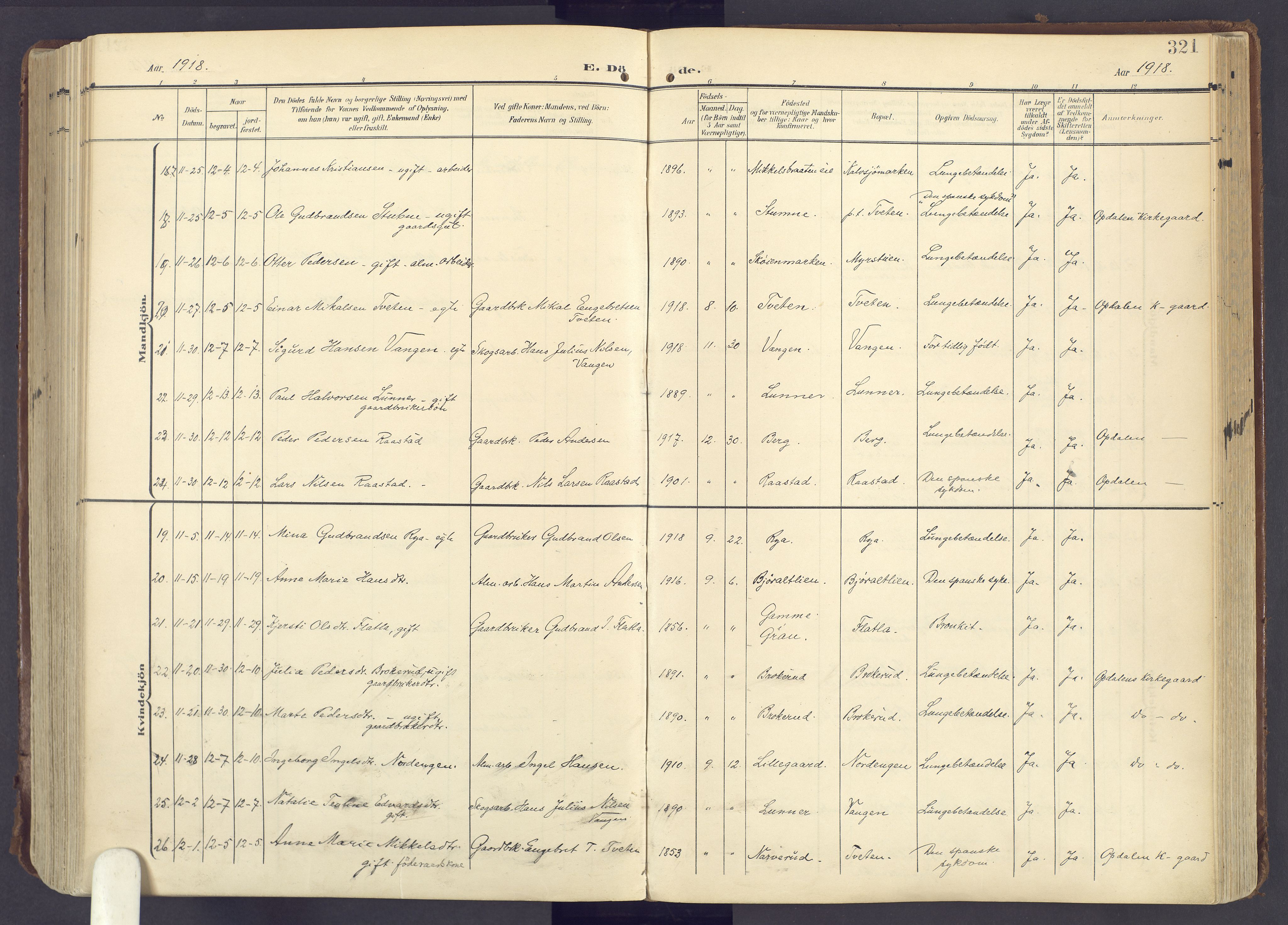 Lunner prestekontor, AV/SAH-PREST-118/H/Ha/Haa/L0001: Parish register (official) no. 1, 1907-1922, p. 321