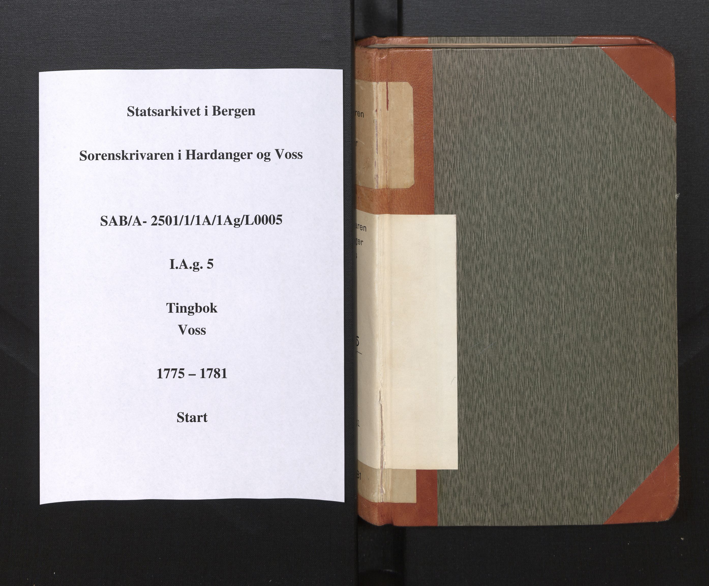 Hardanger og Voss sorenskriveri, SAB/A-2501/1/1A/1Ag/L0005: Tingbok for Voss, 1775-1781