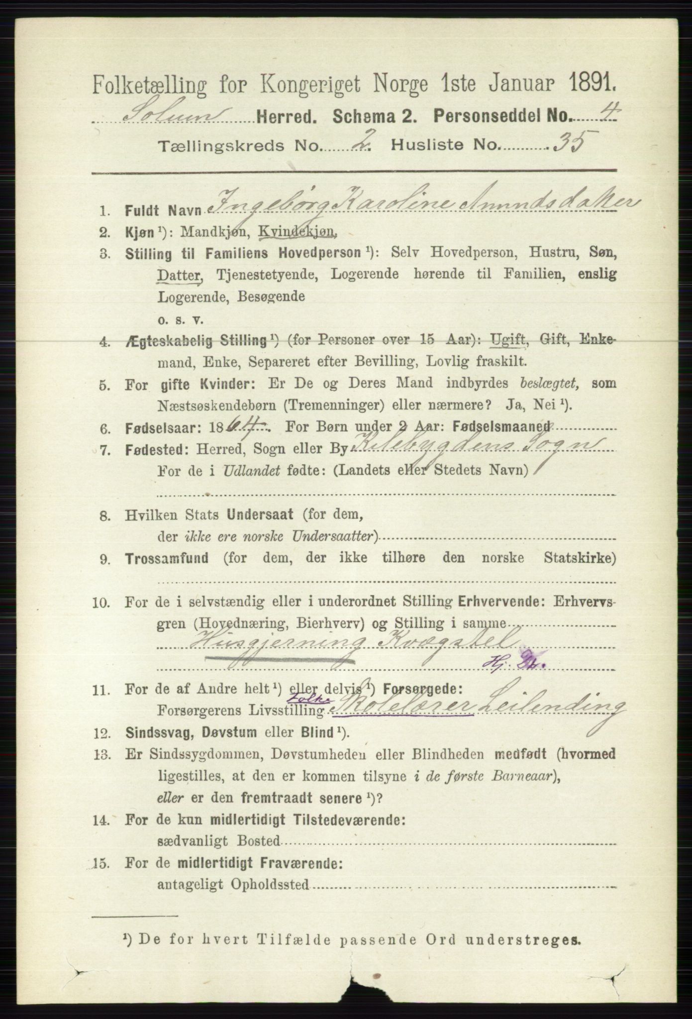 RA, 1891 census for 0818 Solum, 1891, p. 292