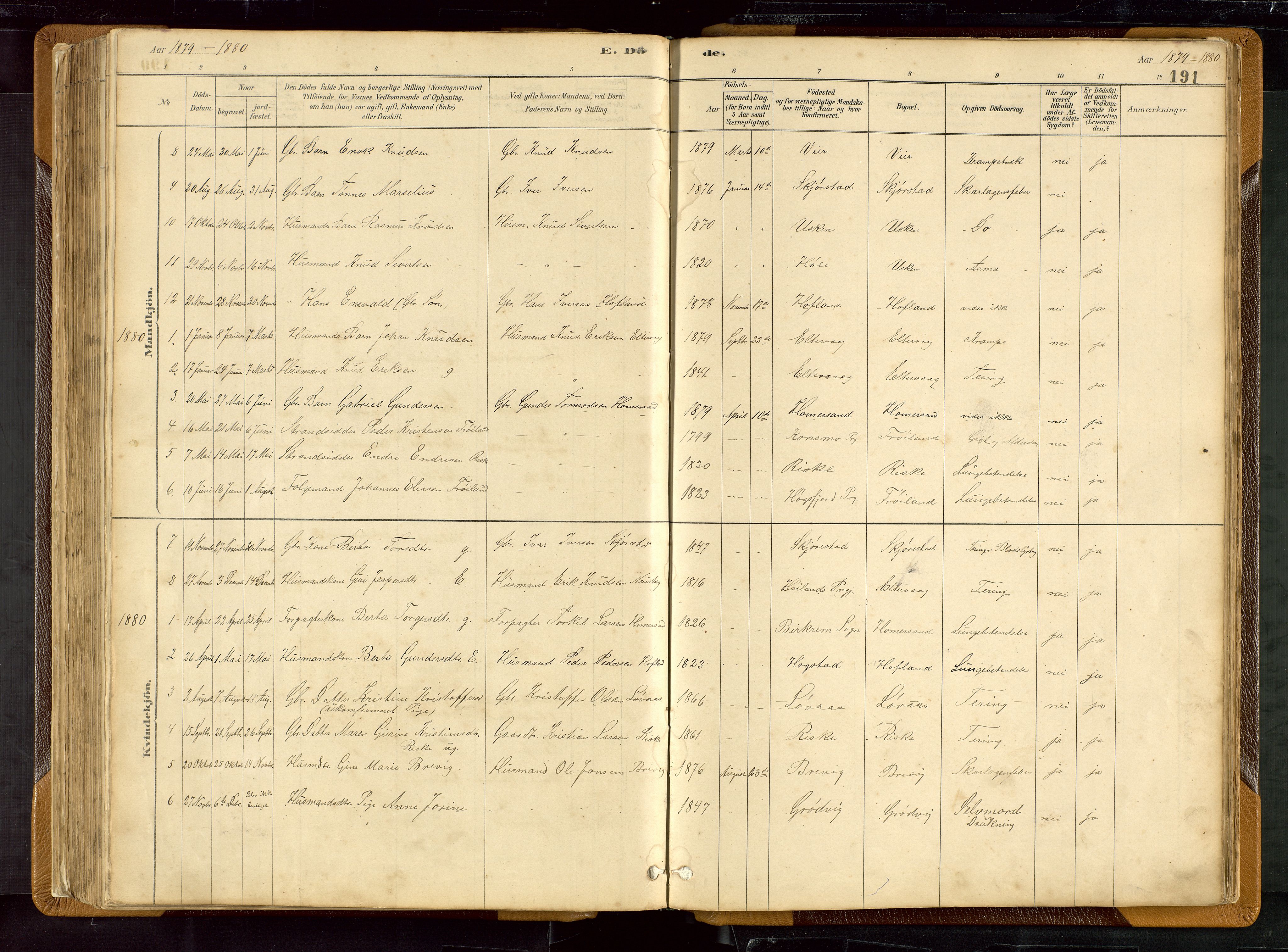 Hetland sokneprestkontor, SAST/A-101826/30/30BB/L0007: Parish register (copy) no. B 7, 1878-1910, p. 191
