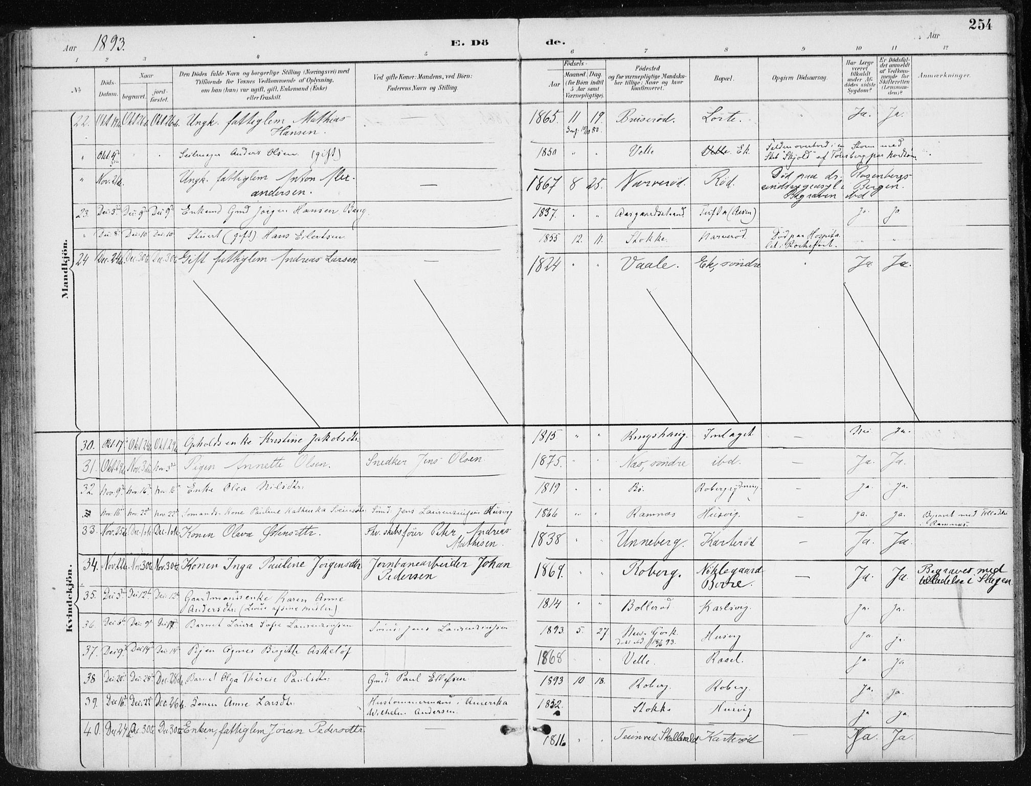 Sem kirkebøker, AV/SAKO-A-5/F/Fb/L0005: Parish register (official) no. II 5, 1892-1904, p. 254