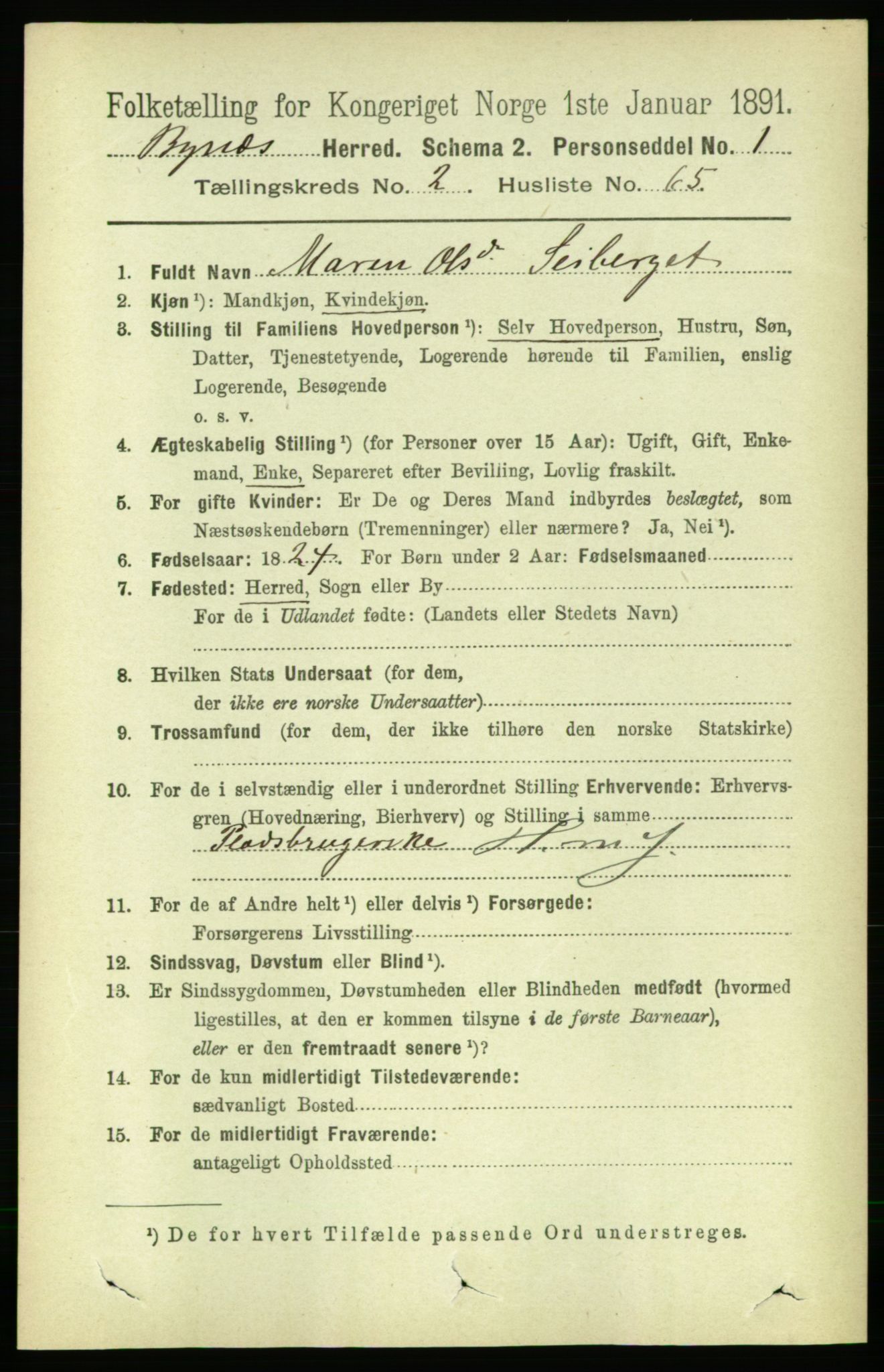 RA, 1891 census for 1655 Byneset, 1891, p. 1193