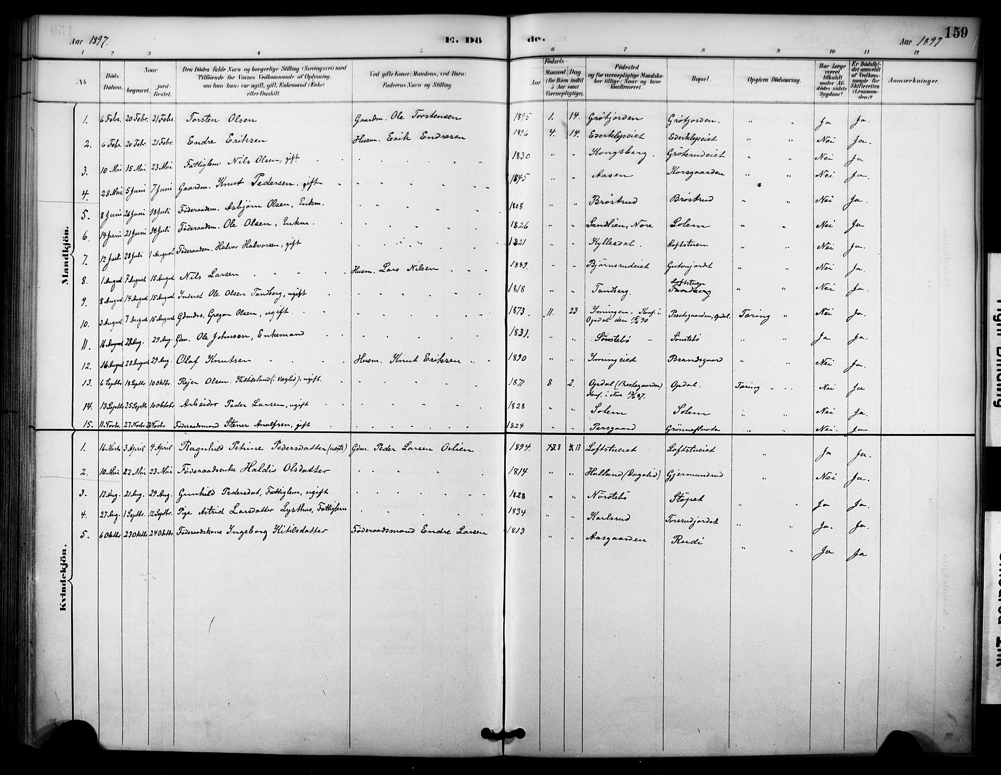 Nore kirkebøker, SAKO/A-238/F/Fc/L0004: Parish register (official) no. III 4, 1885-1898, p. 159