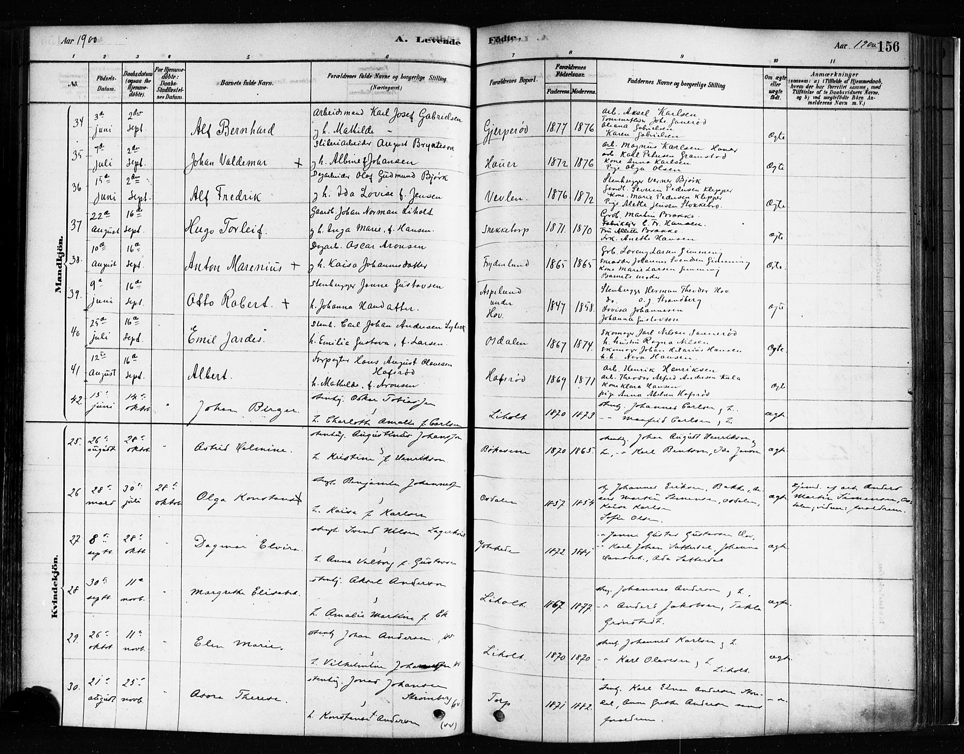 Idd prestekontor Kirkebøker, AV/SAO-A-10911/F/Fc/L0006a: Parish register (official) no. III 6A, 1878-1903, p. 156