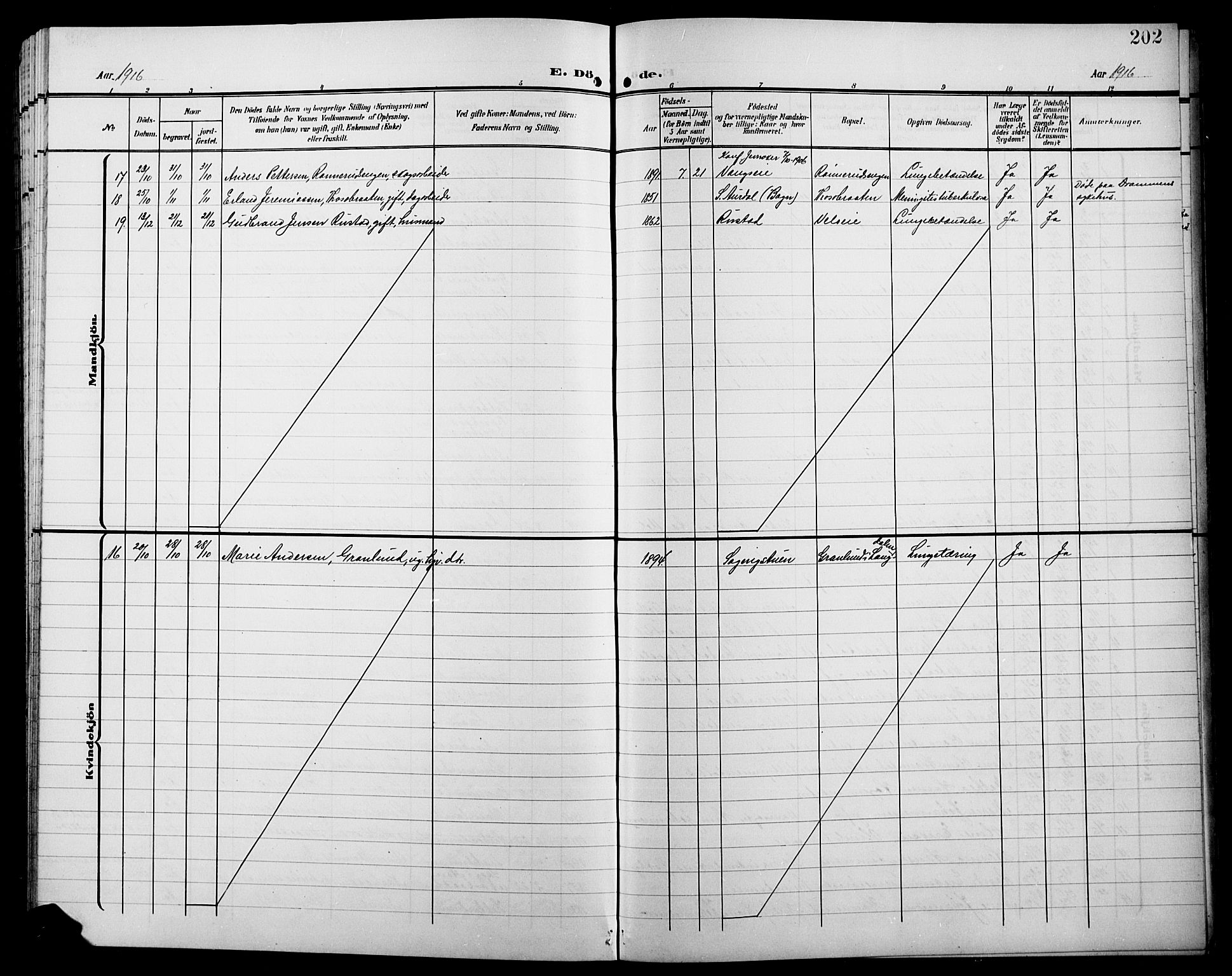 Jevnaker prestekontor, SAH/PREST-116/H/Ha/Hab/L0004: Parish register (copy) no. 4, 1907-1918, p. 202