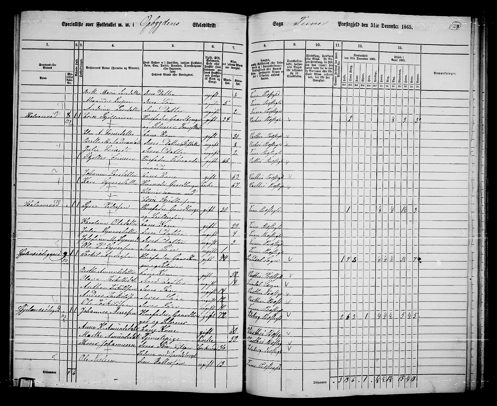 RA, 1865 census for Tune, 1865, p. 209