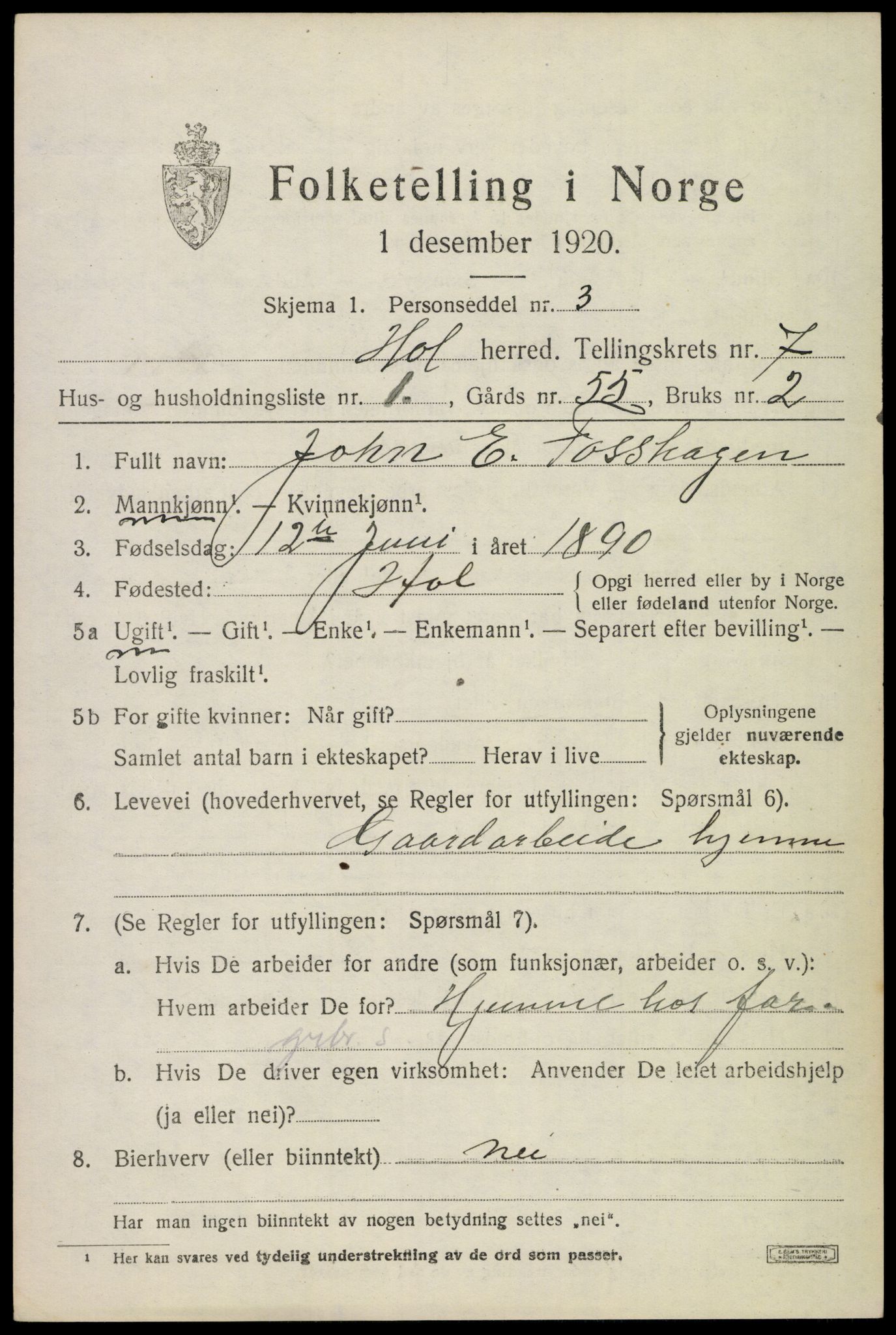 SAKO, 1920 census for Hol (Buskerud), 1920, p. 3511