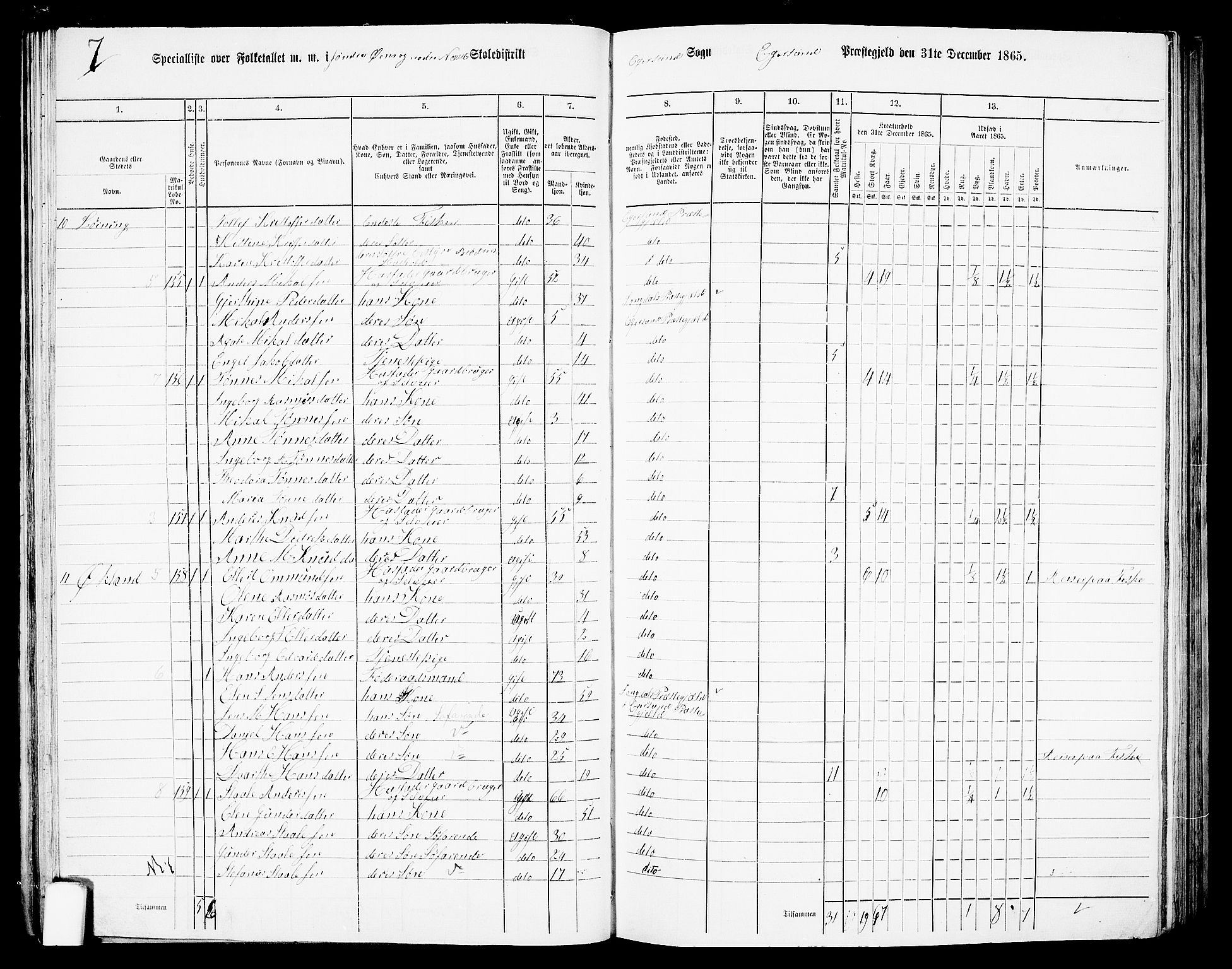 RA, 1865 census for Eigersund/Eigersund og Ogna, 1865, p. 46