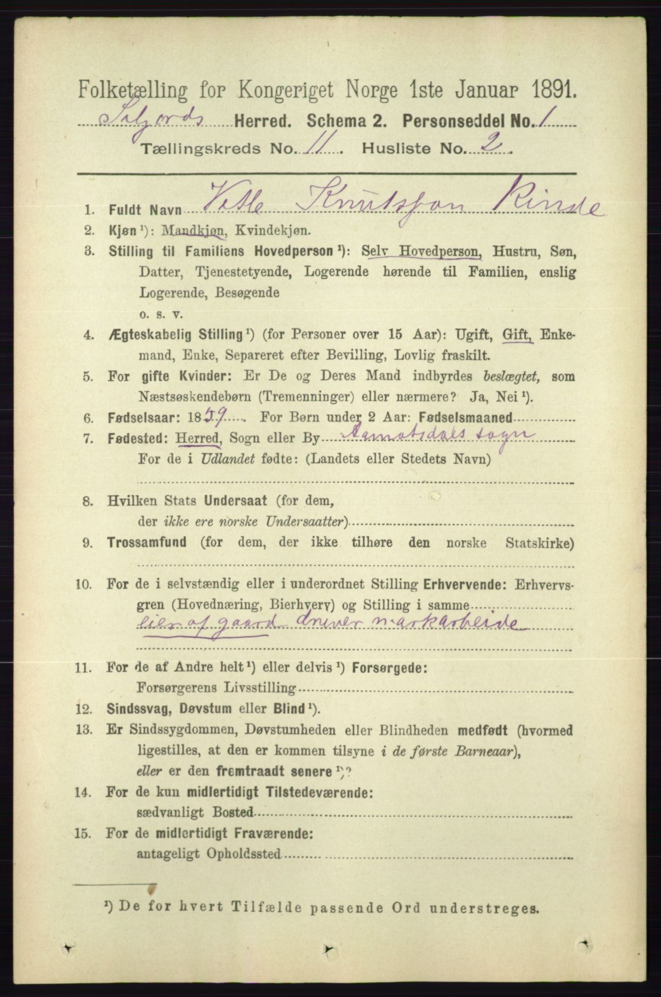 RA, 1891 census for 0828 Seljord, 1891, p. 3788