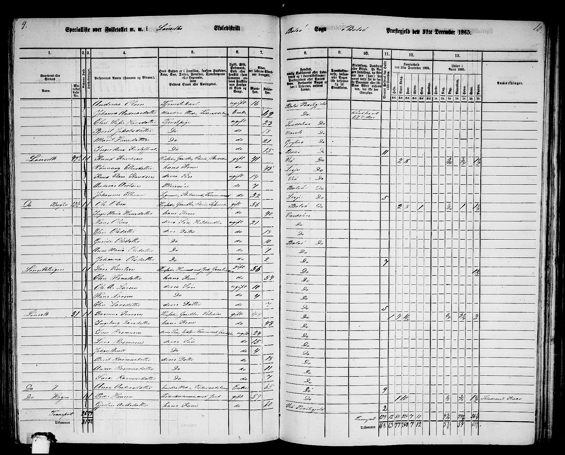 RA, 1865 census for Bolsøy, 1865, p. 53