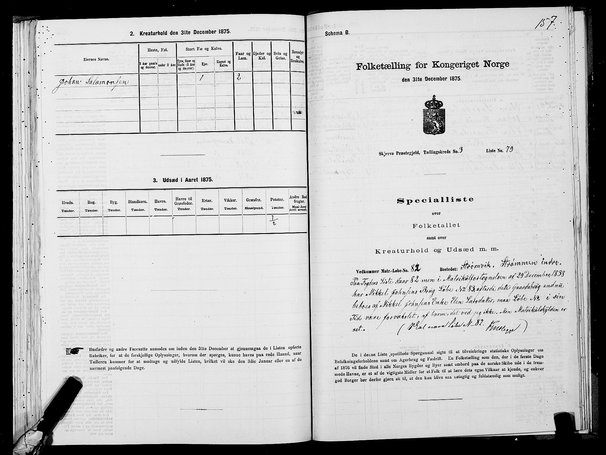 SATØ, 1875 census for 1941P Skjervøy, 1875, p. 2157