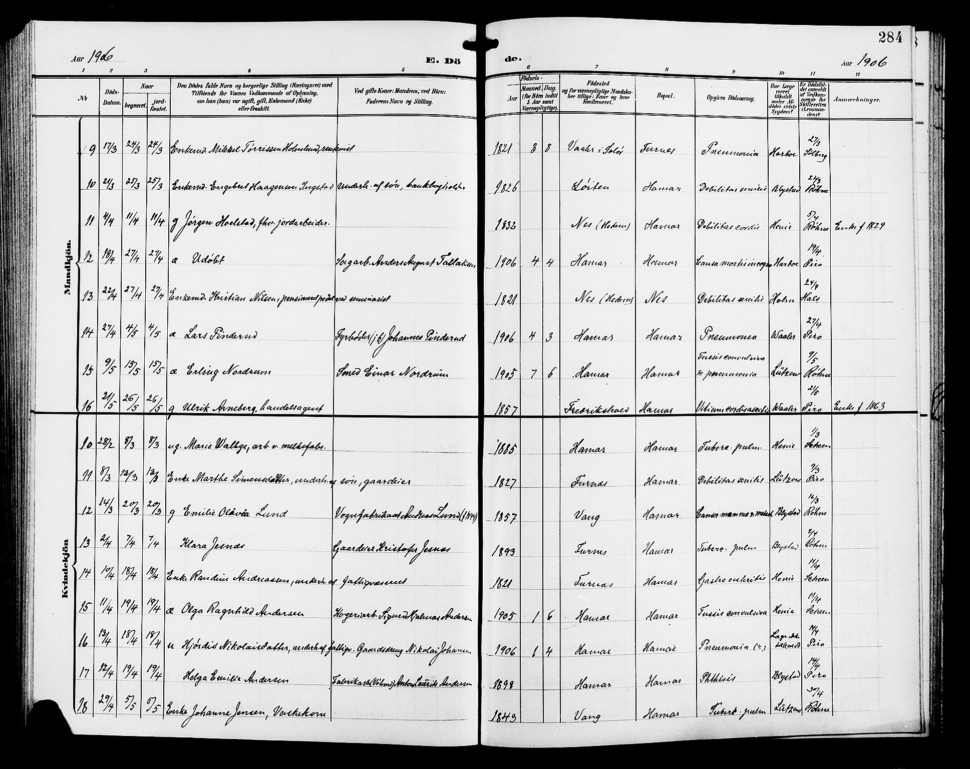 Hamar prestekontor, AV/SAH-DOMPH-002/H/Ha/Hab/L0001: Parish register (copy) no. 1, 1899-1914, p. 284