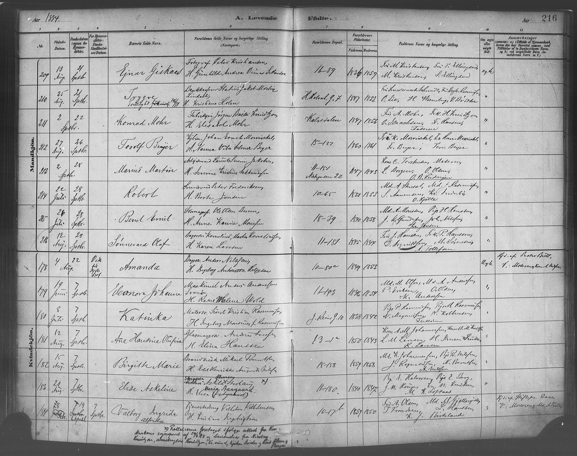 Domkirken sokneprestembete, SAB/A-74801/H/Haa/L0023: Parish register (official) no. B 6, 1879-1887, p. 216