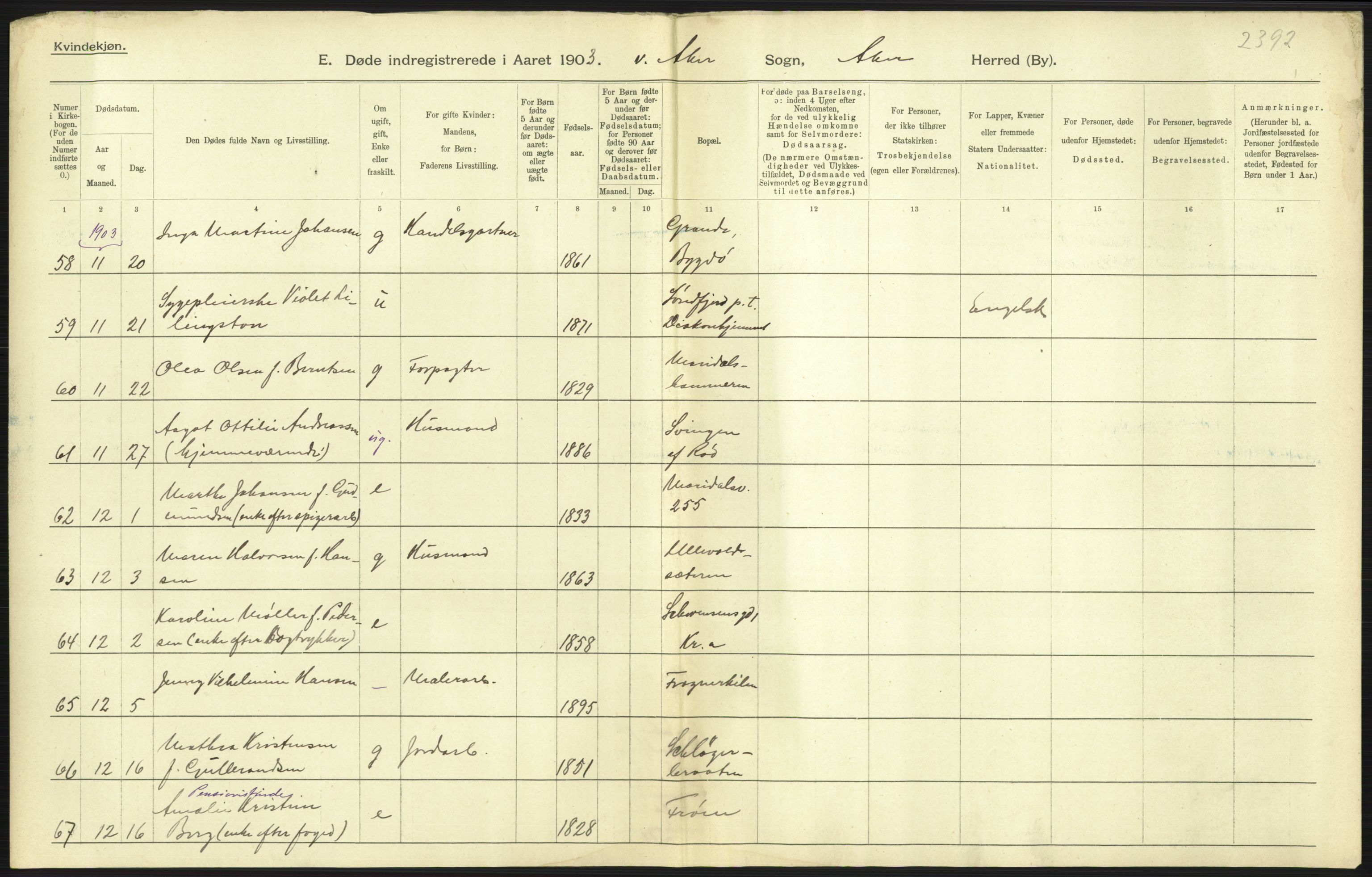 Statistisk sentralbyrå, Sosiodemografiske emner, Befolkning, AV/RA-S-2228/D/Df/Dfa/Dfaa/L0002: Akershus amt: Fødte, gifte, døde, 1903, p. 543