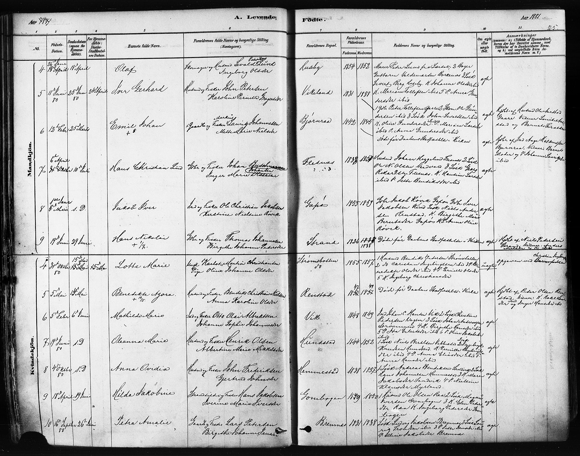 Kvæfjord sokneprestkontor, AV/SATØ-S-1323/G/Ga/Gaa/L0005kirke: Parish register (official) no. 5, 1878-1894, p. 25