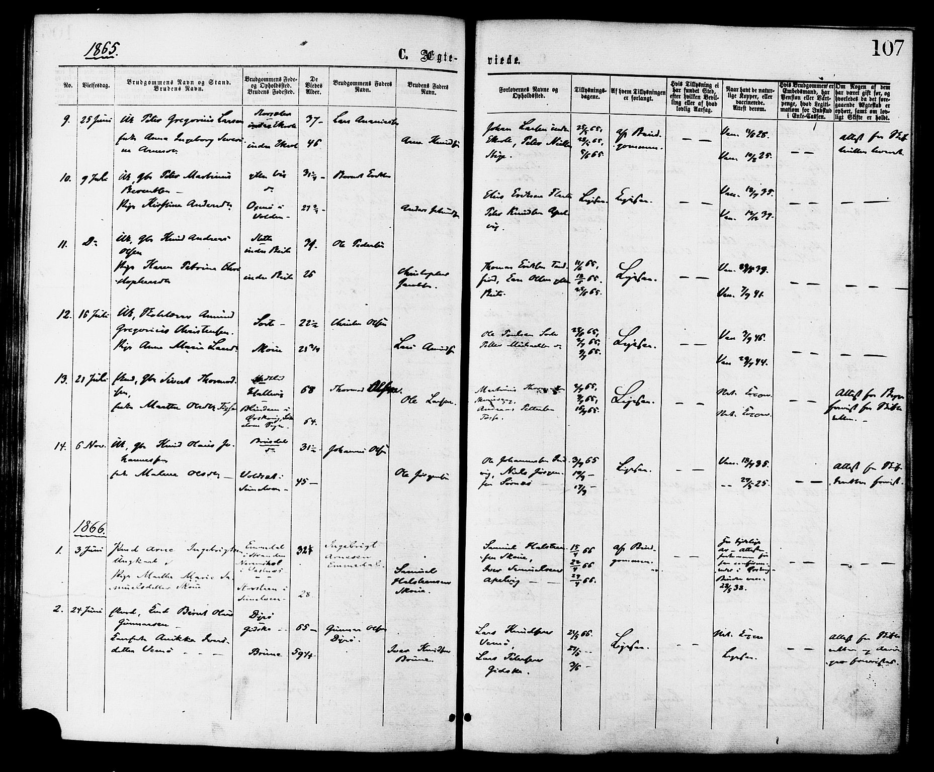 Ministerialprotokoller, klokkerbøker og fødselsregistre - Møre og Romsdal, AV/SAT-A-1454/524/L0355: Parish register (official) no. 524A07, 1864-1879, p. 107