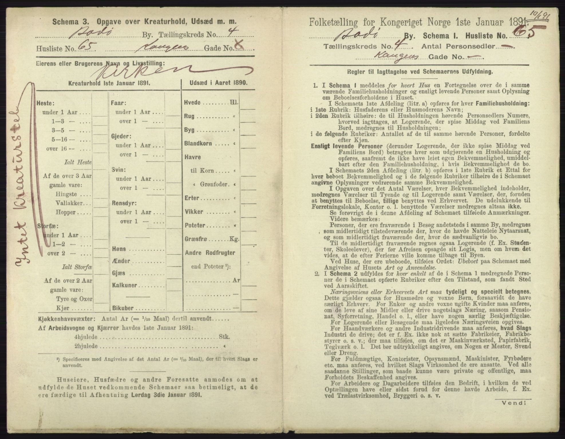 RA, 1891 census for 1804 Bodø, 1891, p. 3017