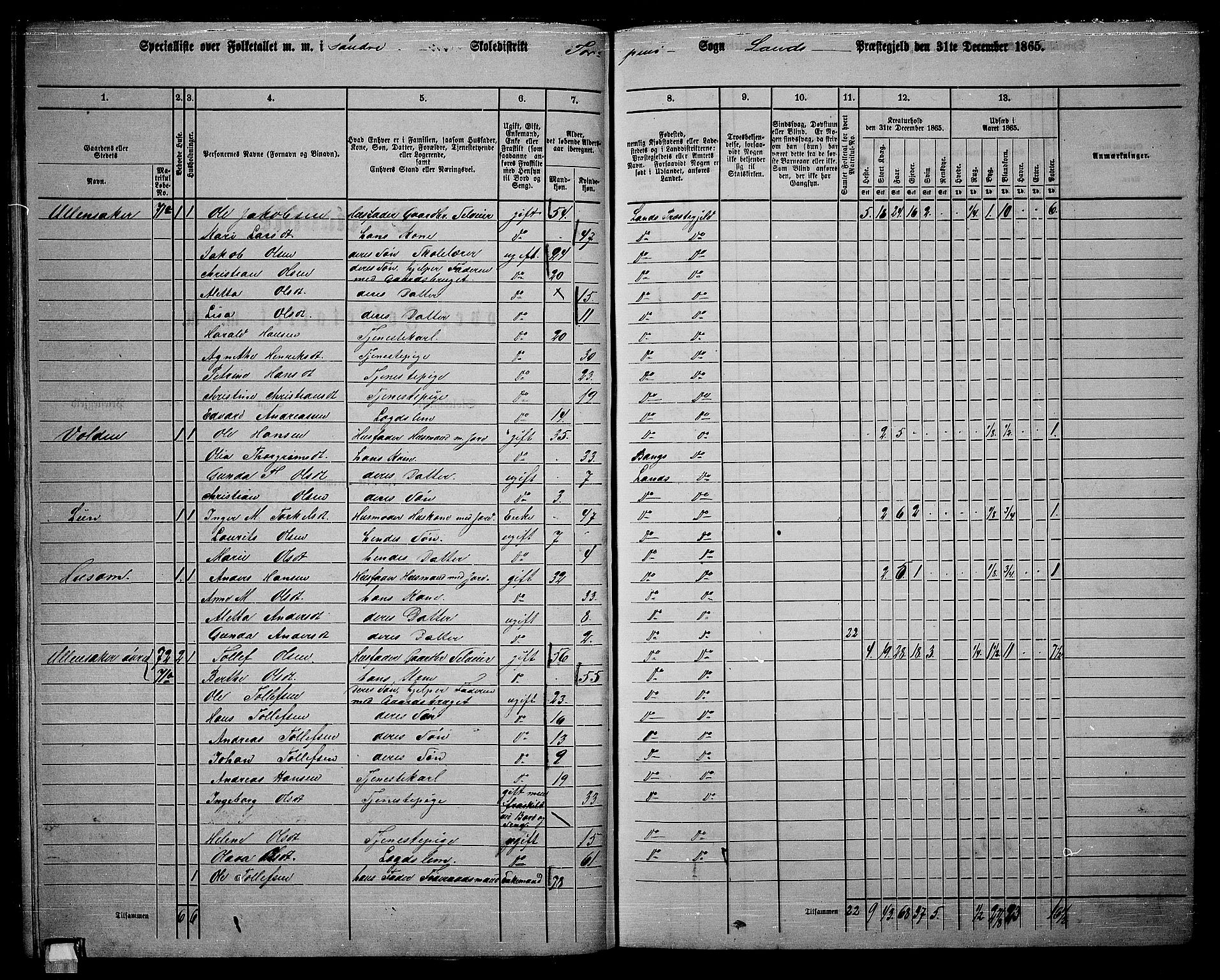 RA, 1865 census for Land, 1865, p. 76