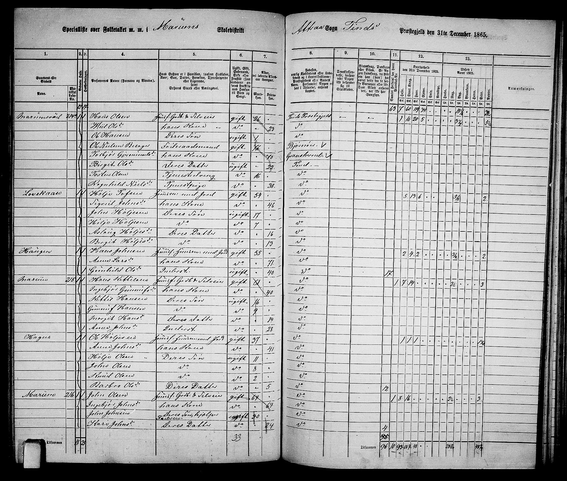 RA, 1865 census for Tinn, 1865, p. 64