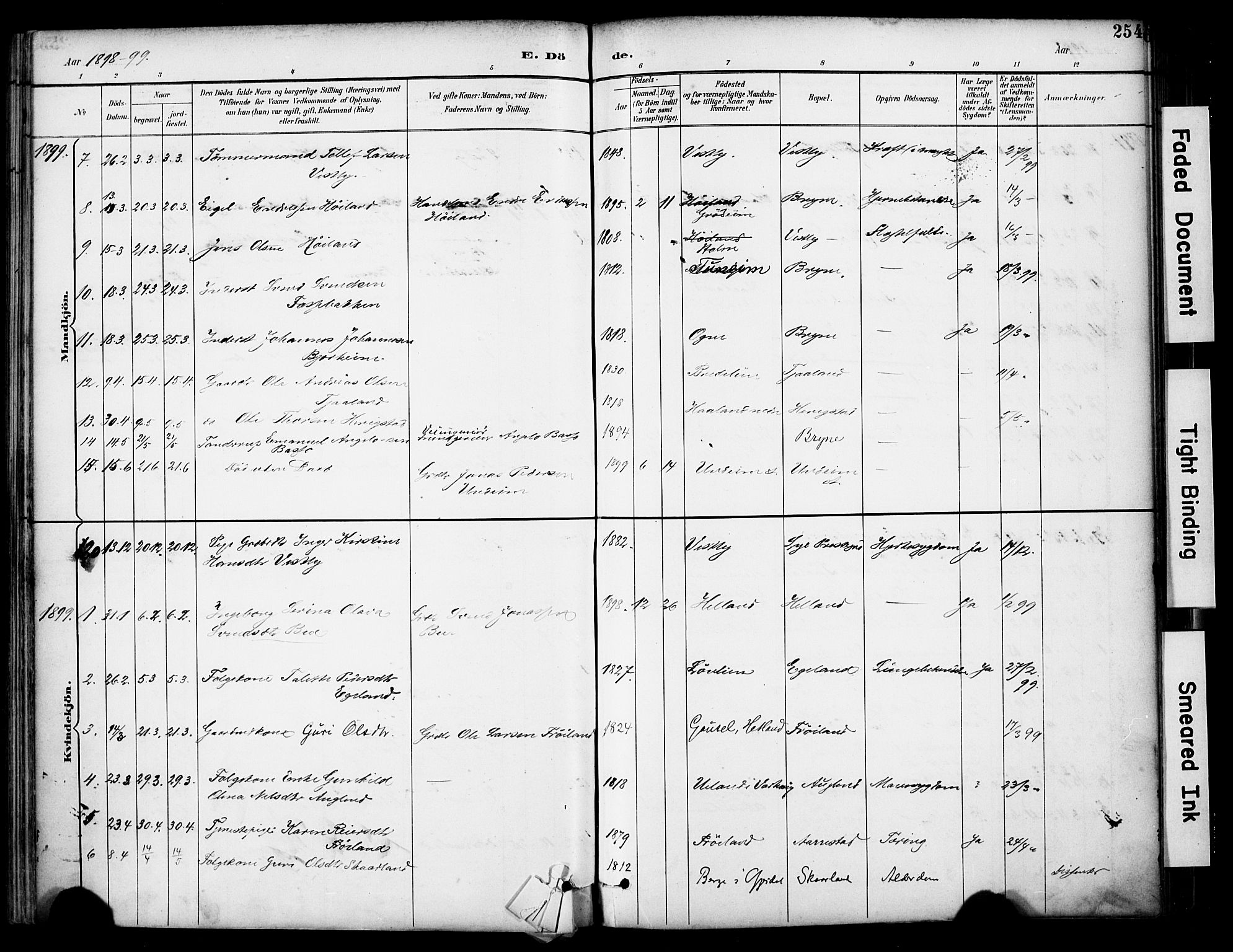 Lye sokneprestkontor, AV/SAST-A-101794/001/30BA/L0011: Parish register (official) no. A 9, 1893-1903, p. 254