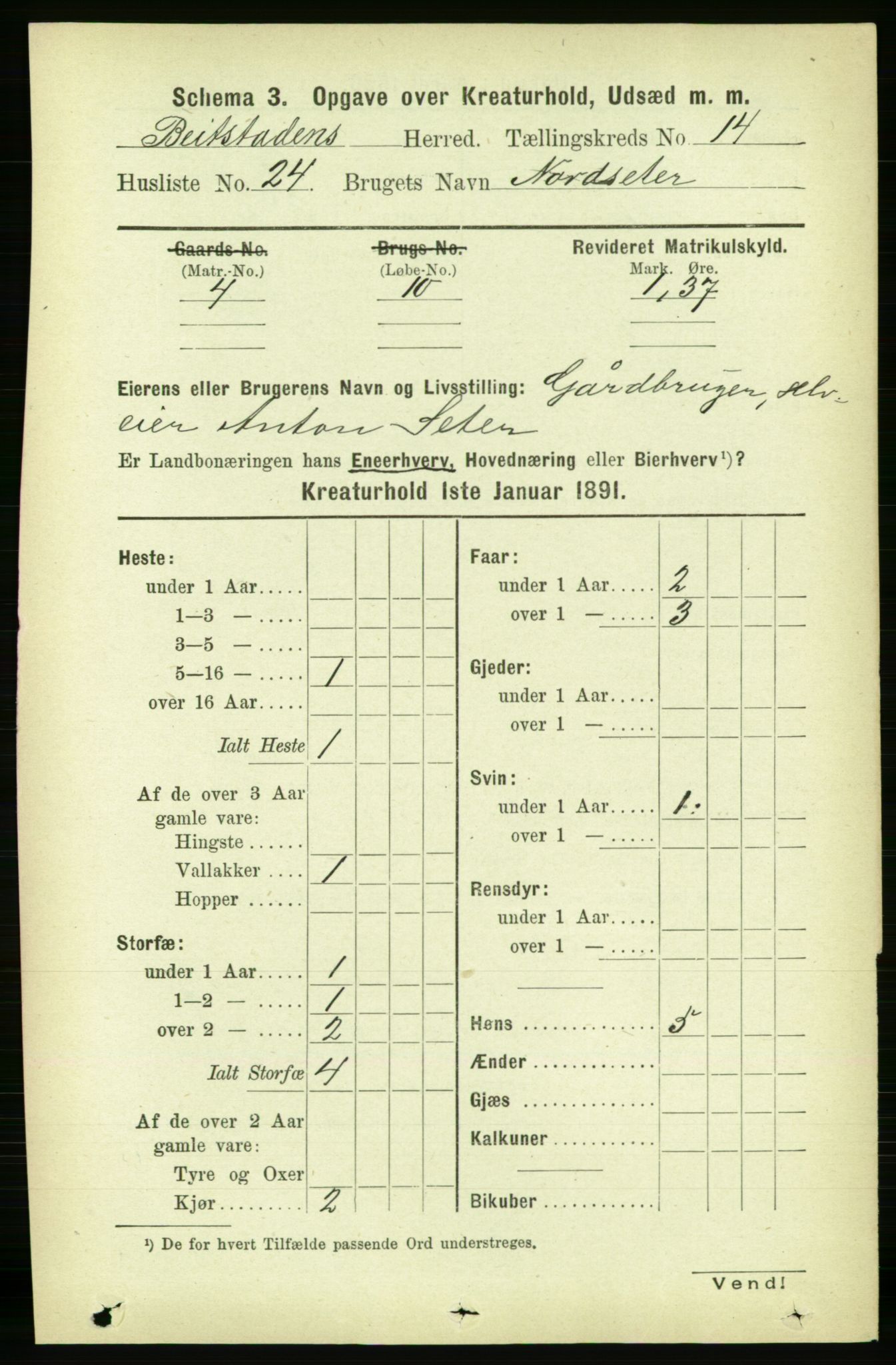 RA, 1891 census for 1727 Beitstad, 1891, p. 6599